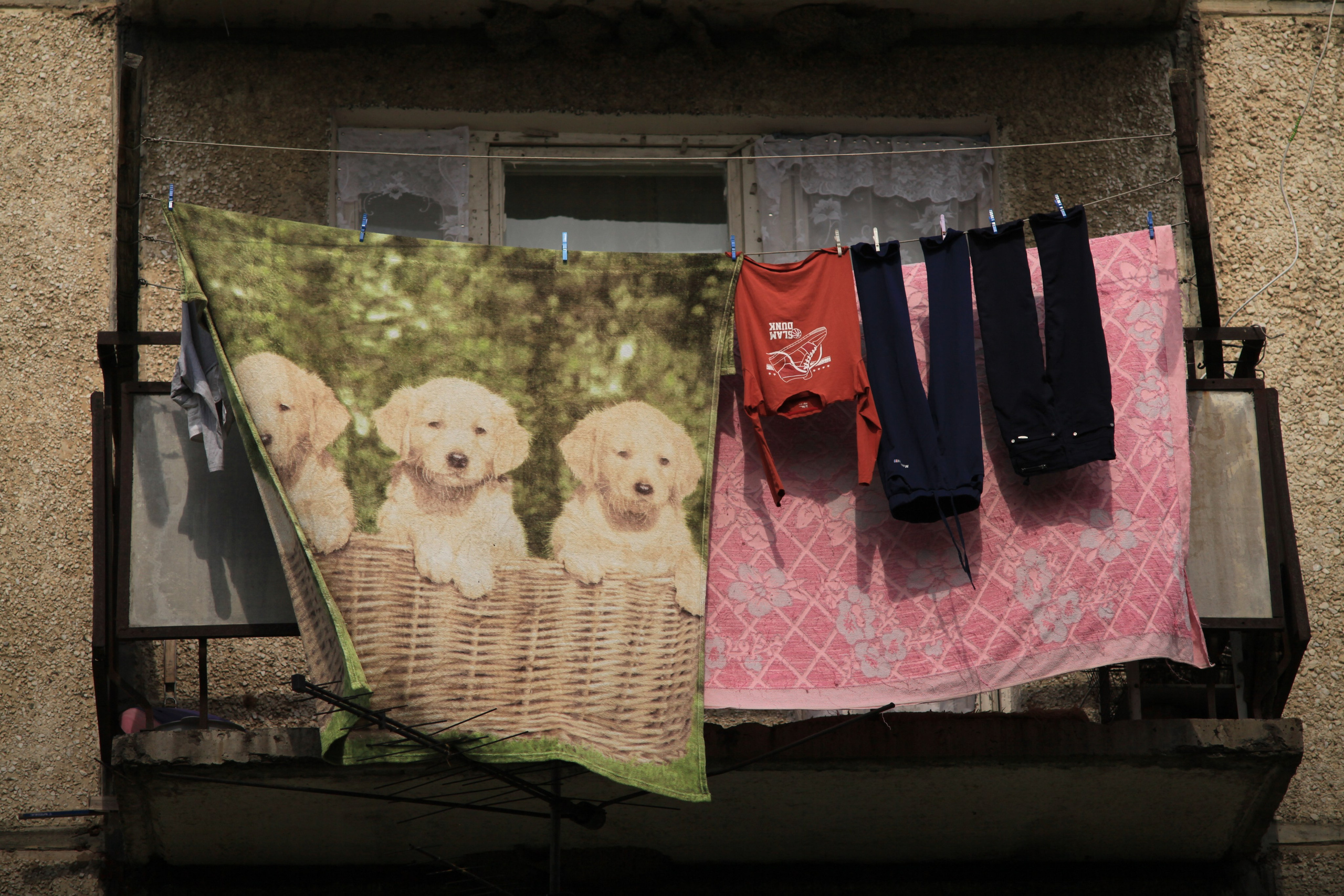 Tactility. Den Mirov — Photographer, Musician