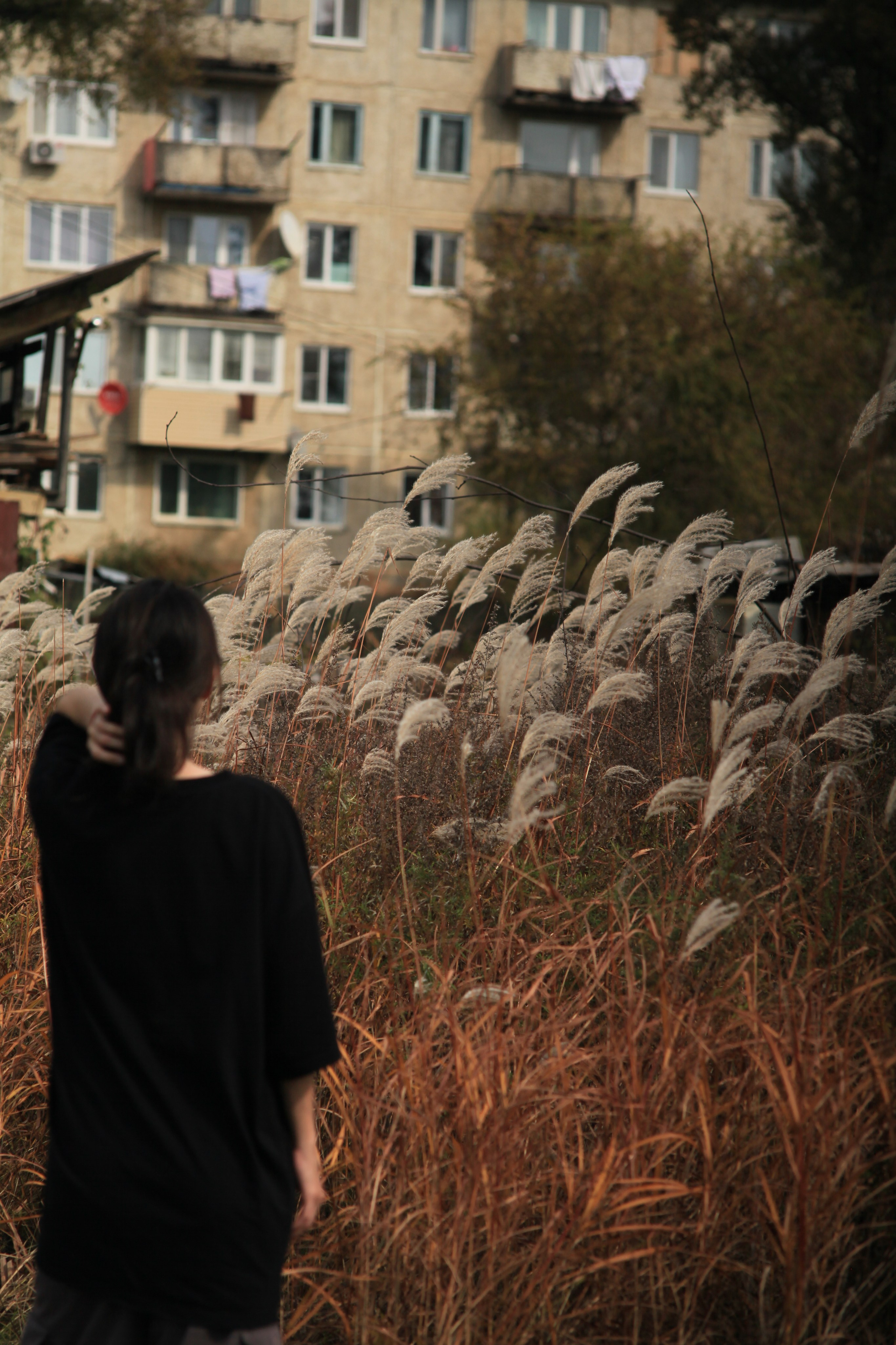 Tactility. Den Mirov — Photographer, Musician