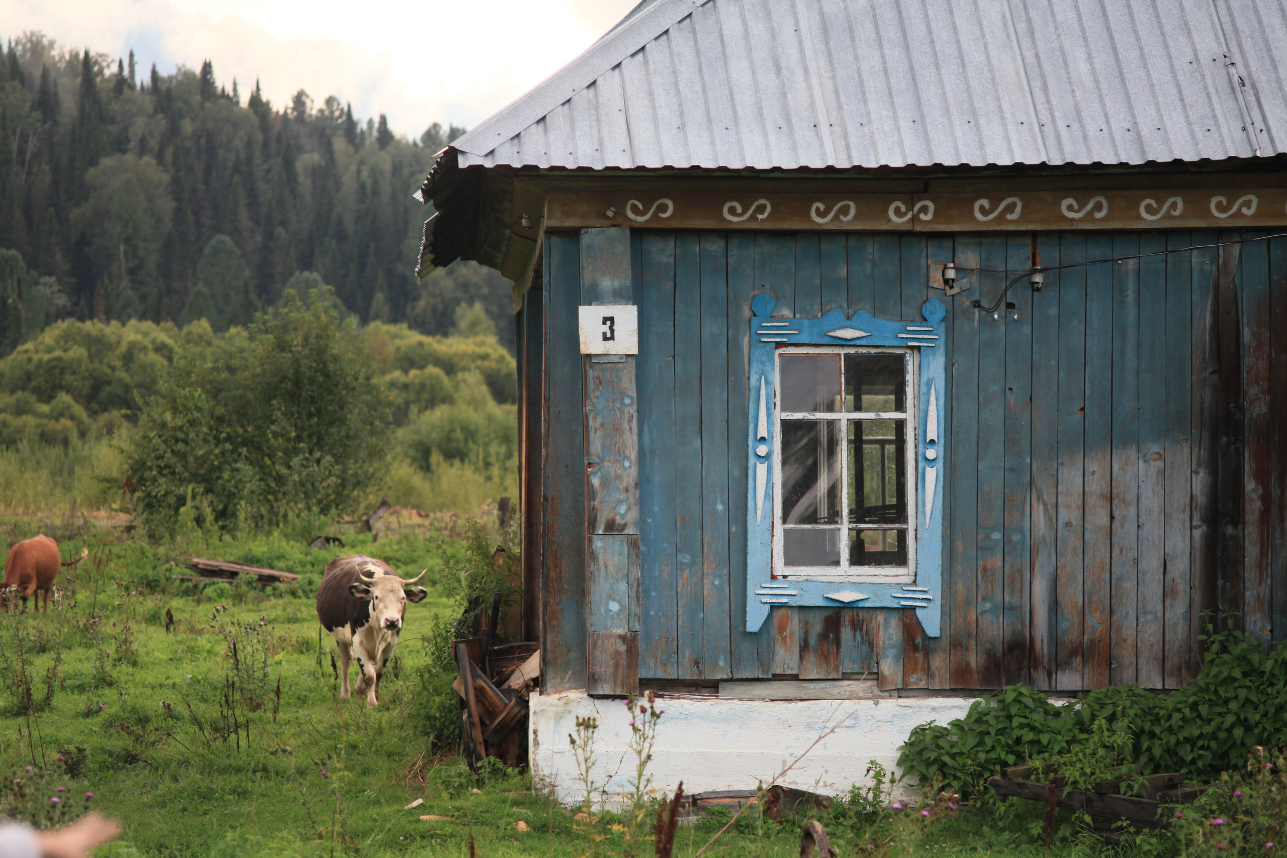 Скос. Den Mirov — Фотограф, Музыкант