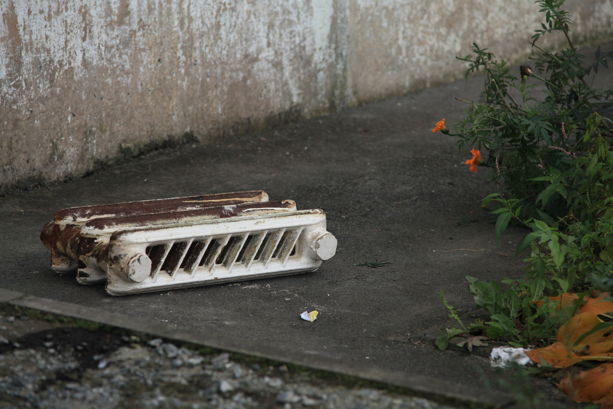 Tactility. Den Mirov — Photographer, Musician