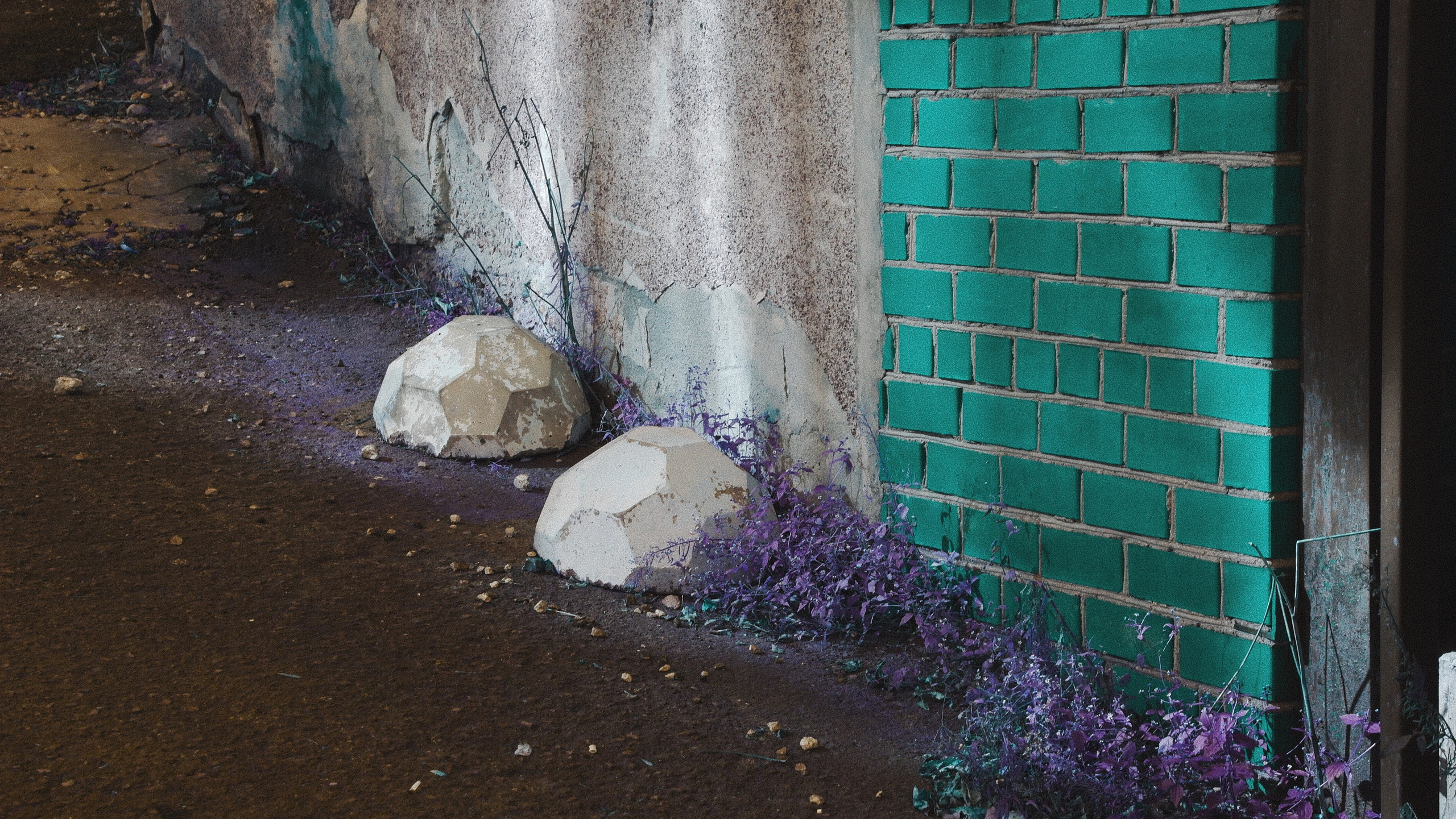 Free. Den Mirov — Photographer, Musician