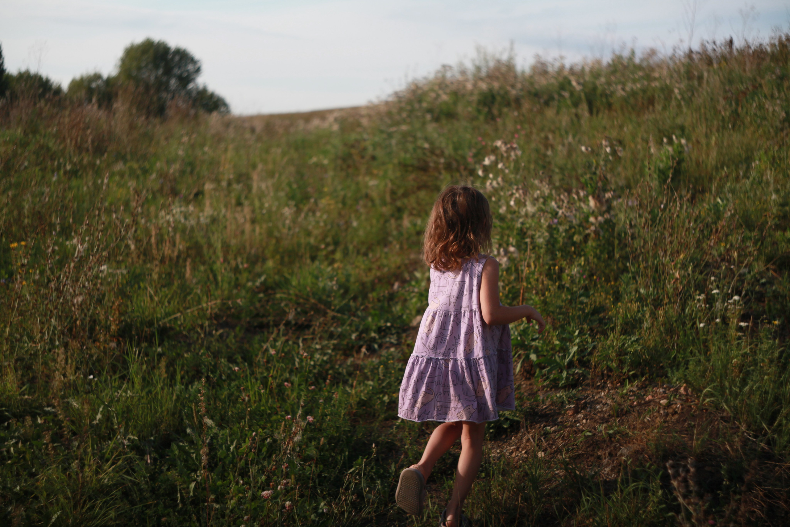 Восстановление. Den Mirov — Photographer, Musician