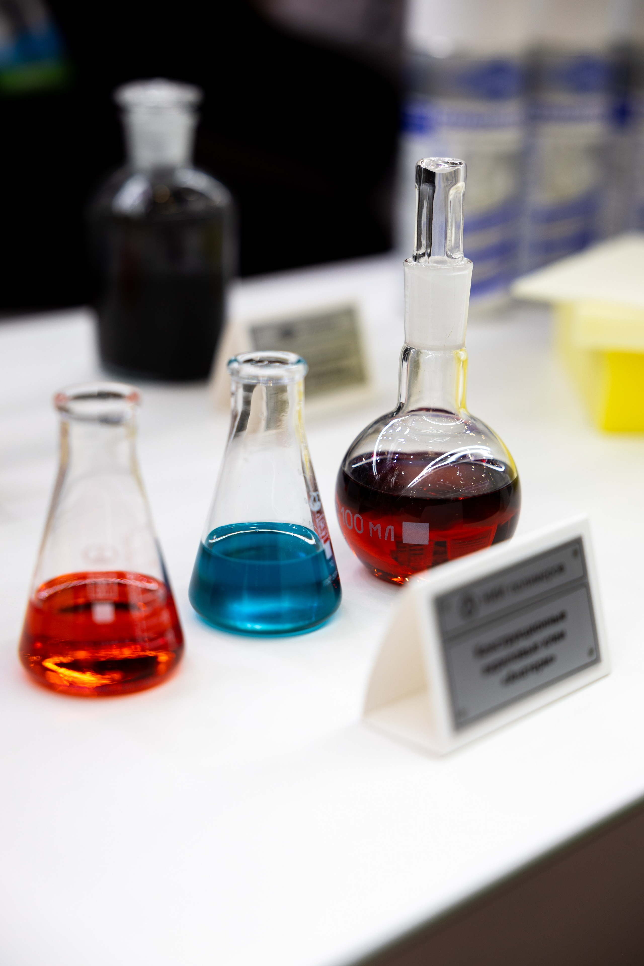 Выставка НЕВА 2025. Репортажный фотограф Санкт-Петербург | Роман Карбышев