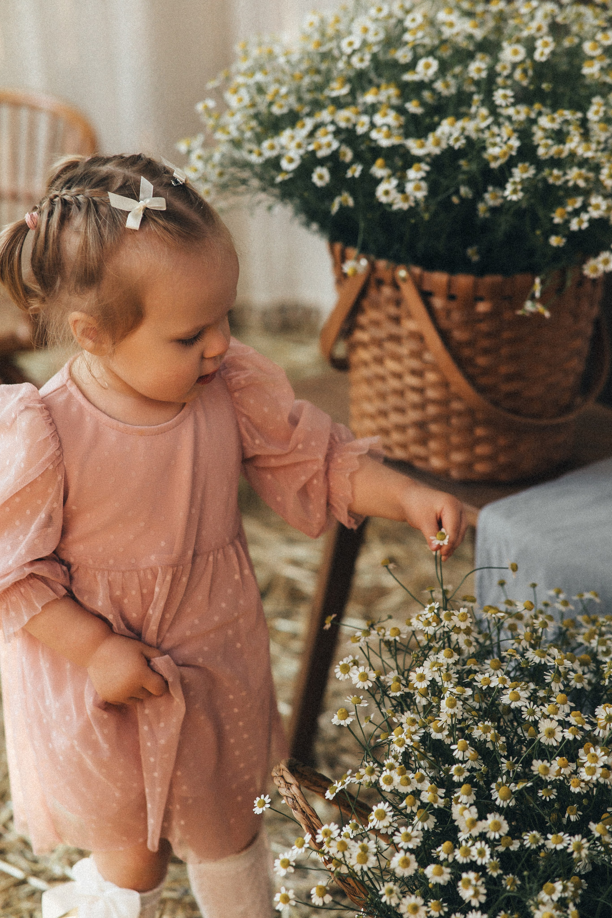 Наташа, Андрей и Тасечка. Свадебный и семейный фотограф в Ростове-на-Дону