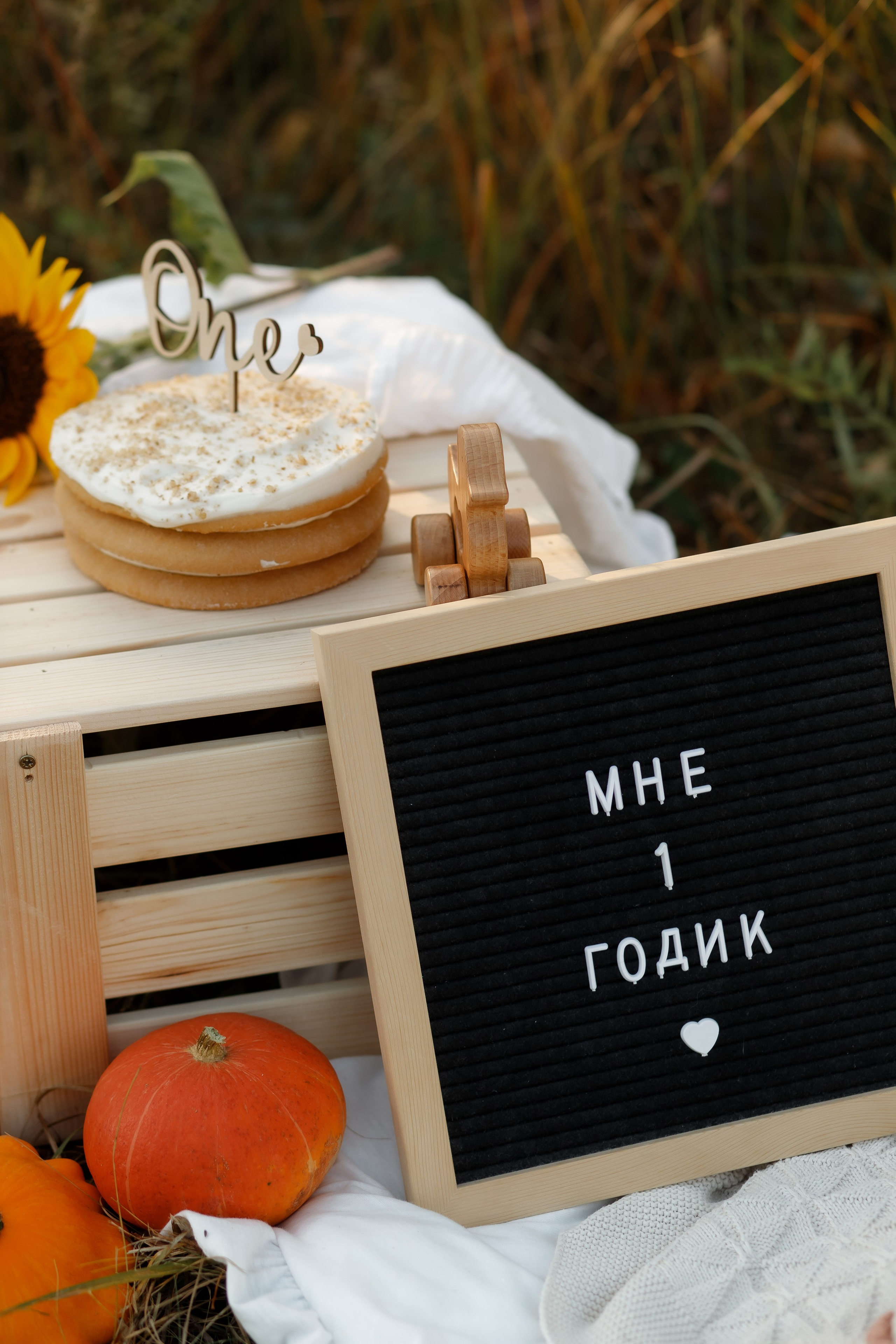 Фотосъемка детства. Фотограф Карпачан Анастасия