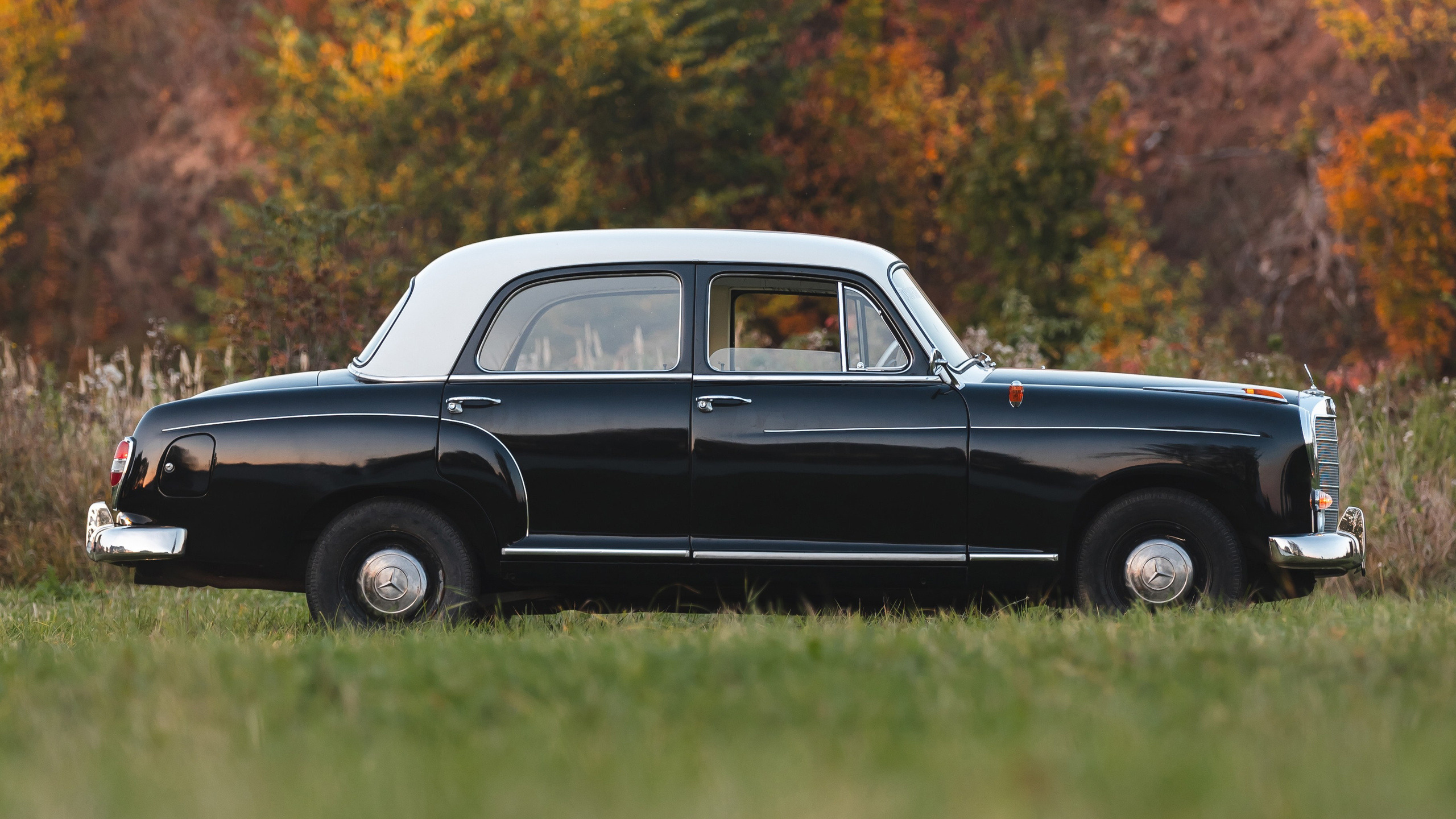 Фотограф Александр Бормотин