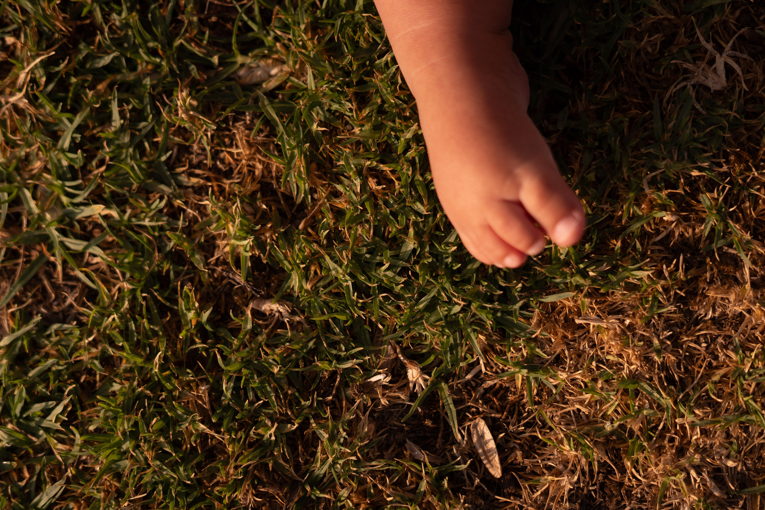 Masha and Timur. Wedding Photographer in Barcelona and Medellin