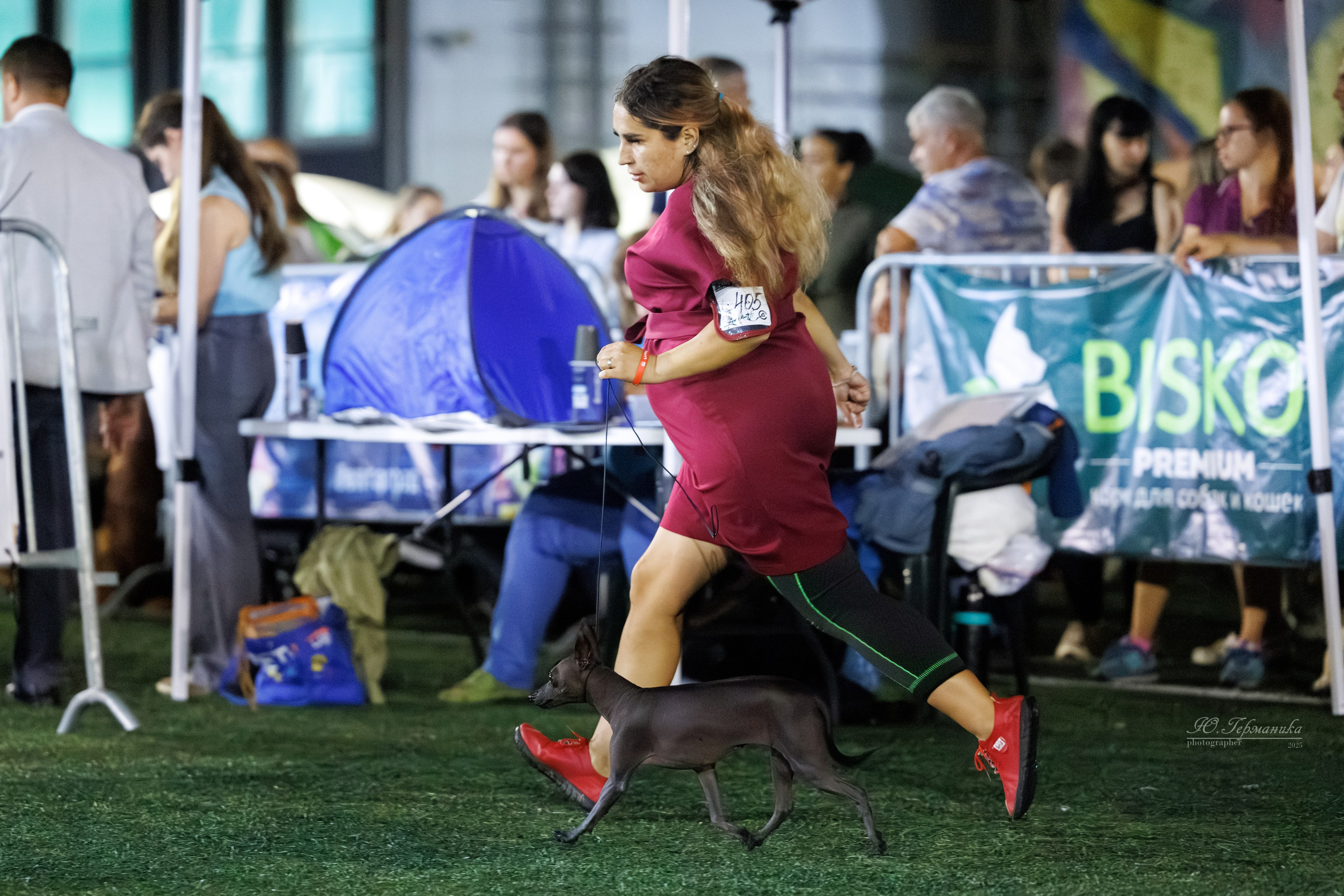 Калининград 25-27.07 Волгоград 1-3.08 2025. Фотограф-анималист Юлия Германика