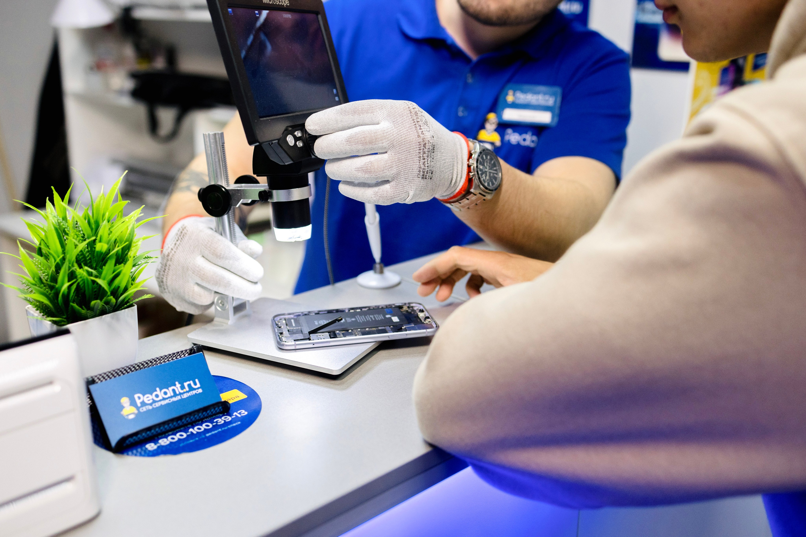 Педант. Свадебный фотограф в Петропавловске-Камчатском Артур Зябов