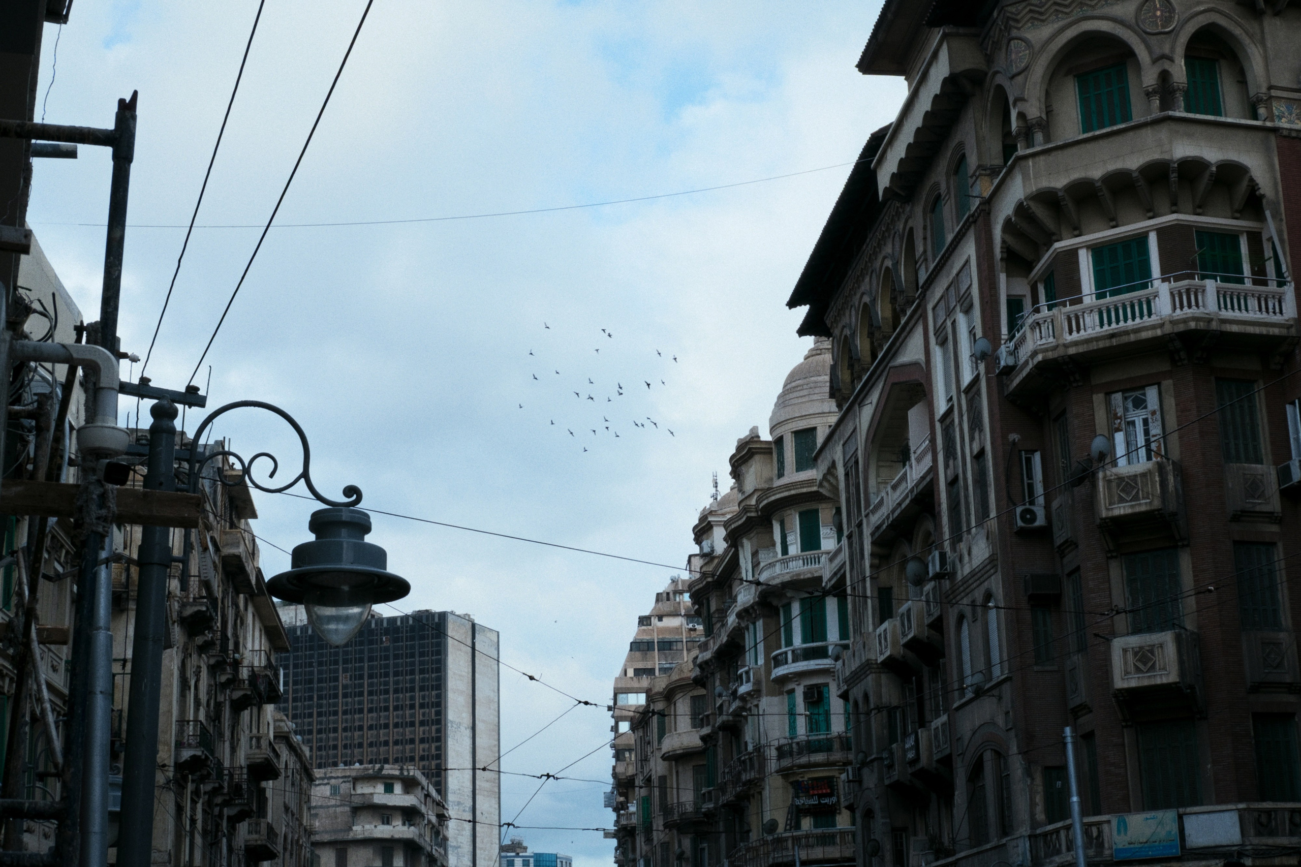 Alexandria / Egypt AW25. Фотограф Юрин Евгений