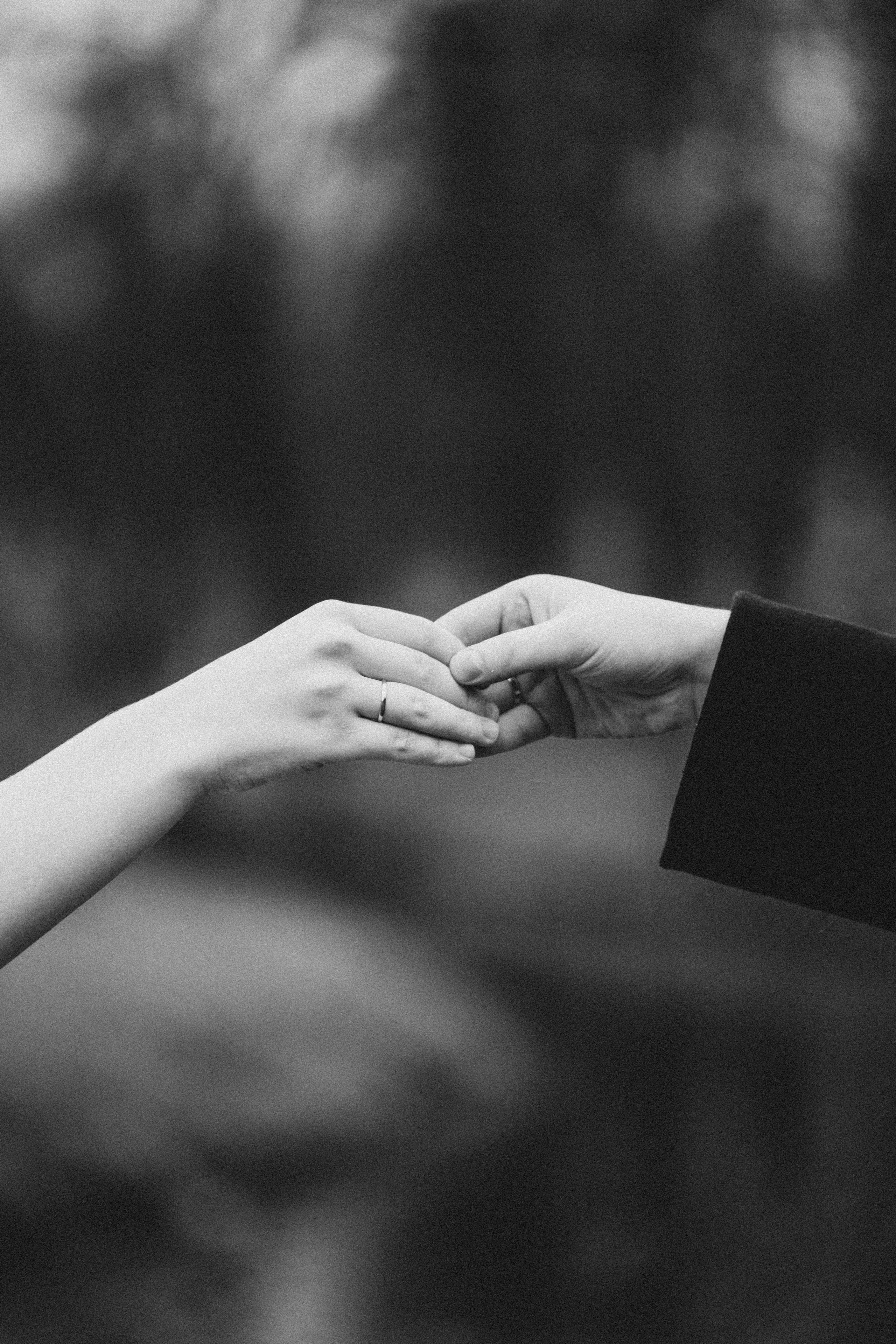 СВАДЕБНАЯ ВО ВТОРОМ ДВОРЦЕ И ПРОГУЛКА В ТАВРИЧЕСКОМ САДУ ЧБ. Профессиональный фотограф, Санкт-Петербург — Виктория Богомолова