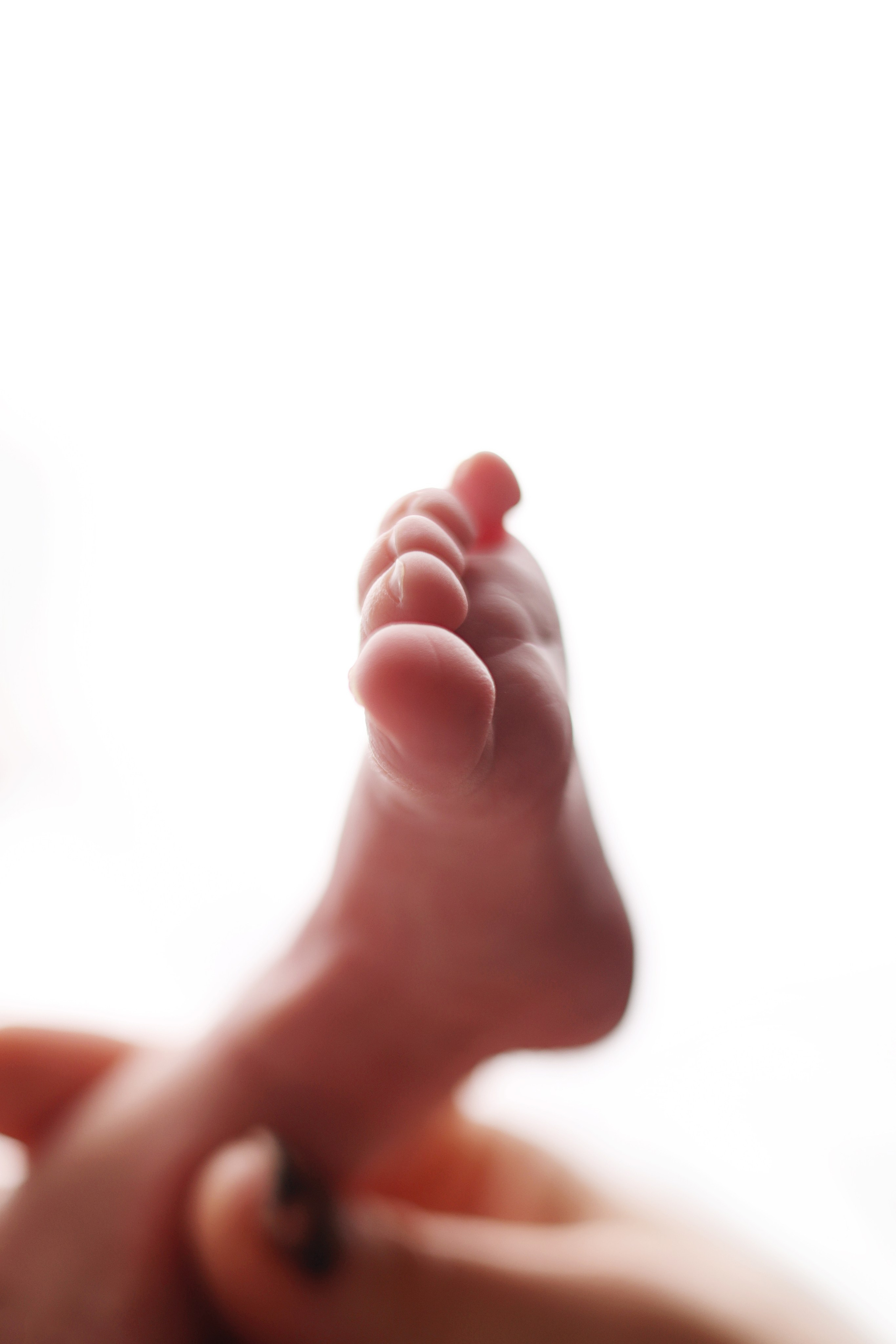 Ньюборн съемка Саввы. Фотограф новорожденных Столярова Светлана. Фотограф новорожденных Москва. Ньюборн фотограф Москва