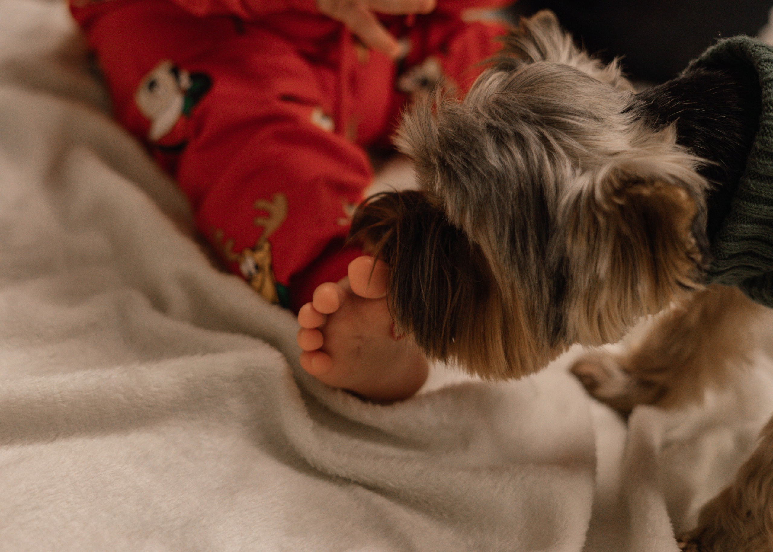 СЕМЕЙНЫЕ. Фотосессия новорожденных в Москве и Московской области