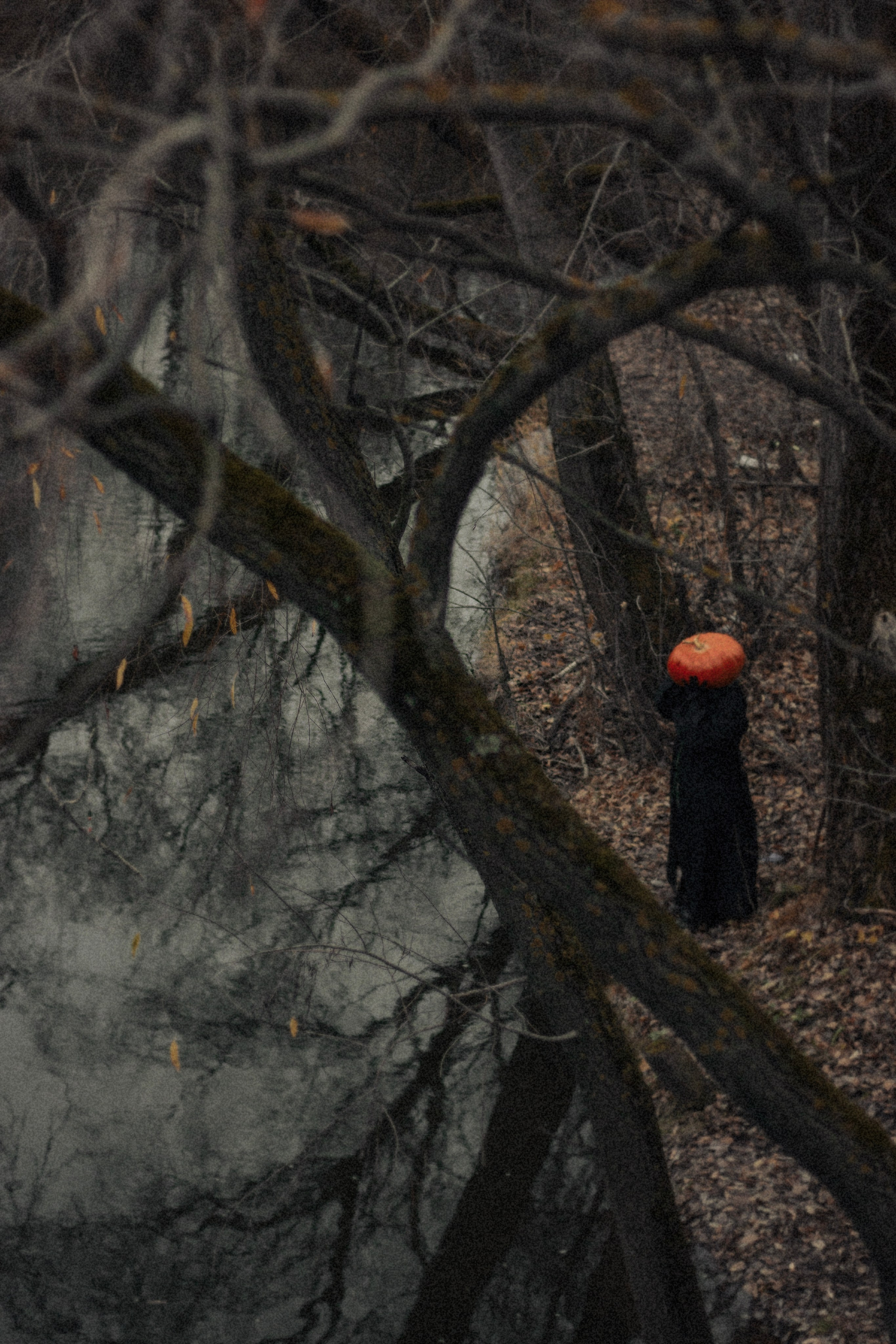 Проект «тыквоголовые». Фотограф Удмуртия