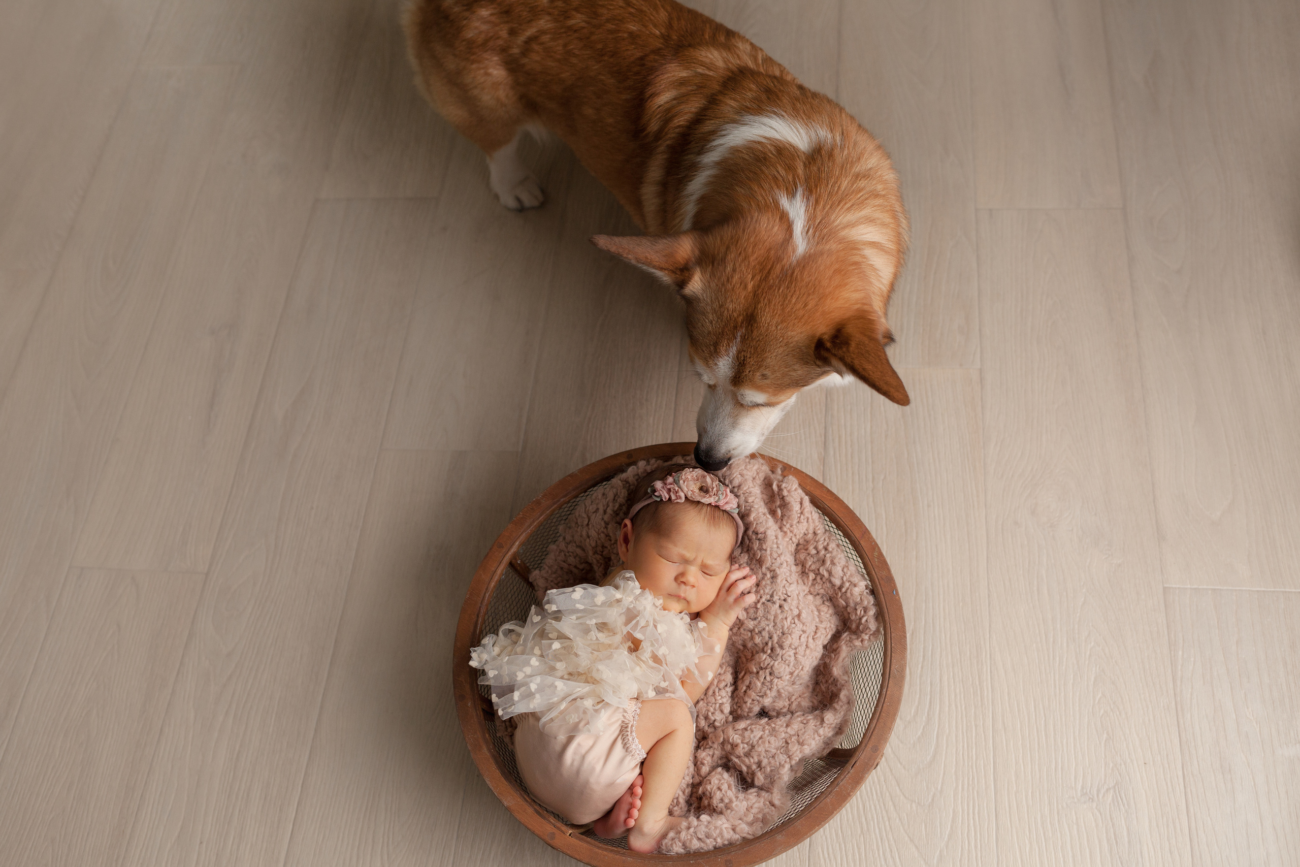 Newborn. Фотограф новорождённых в Самаре