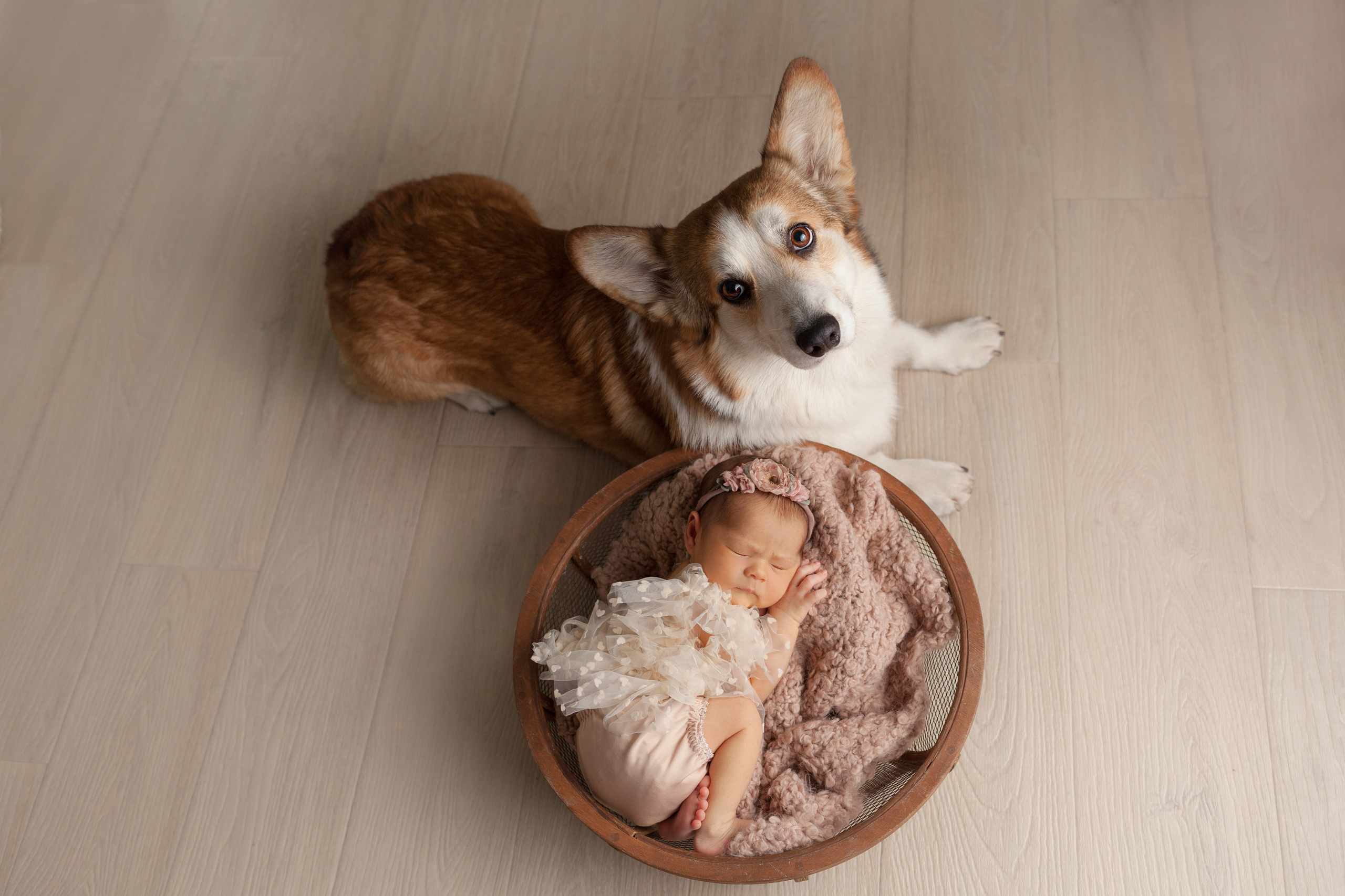 Newborn. Фотограф новорождённых в Самаре