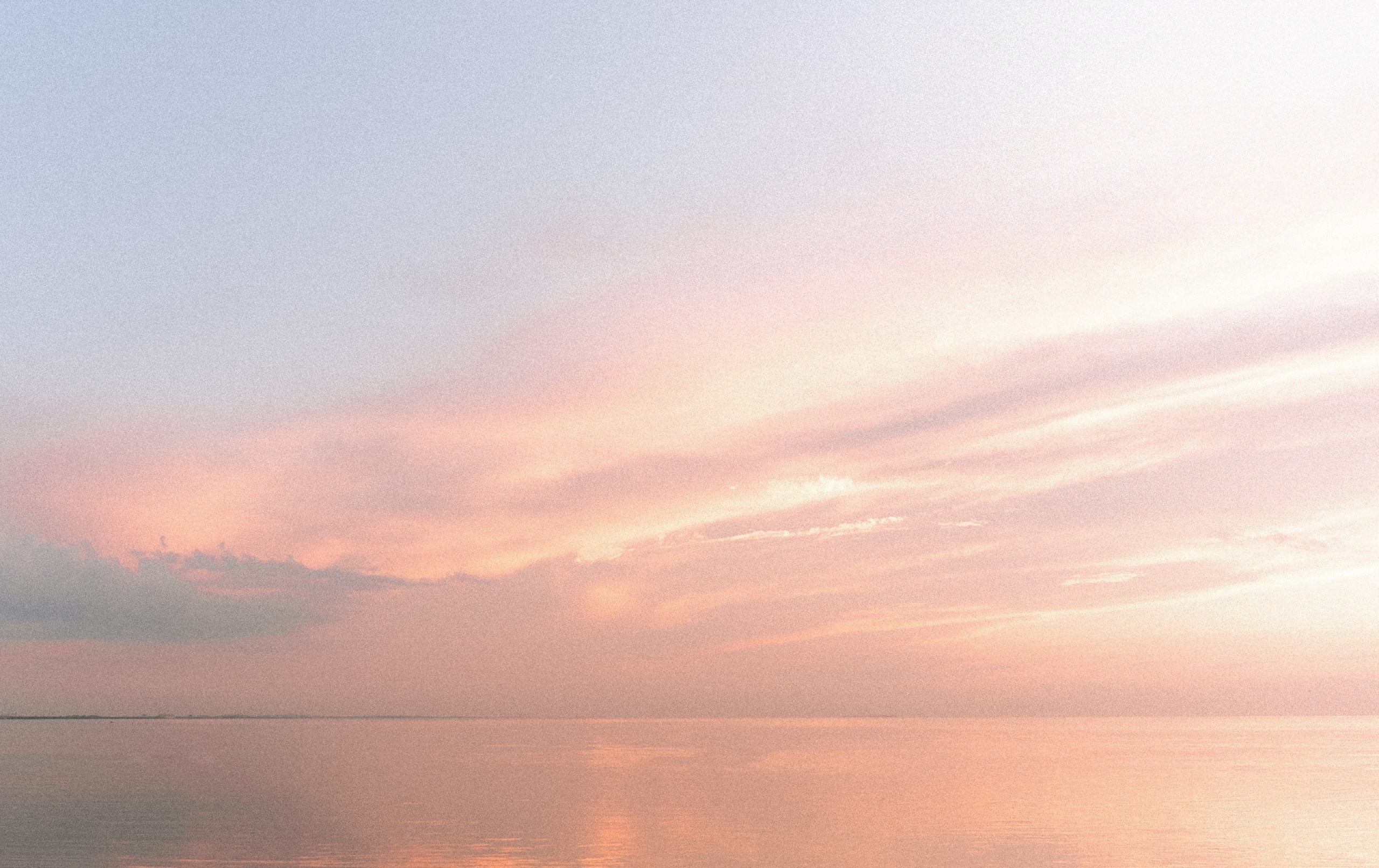 Daria | Egor. Свадебный фотограф Санкт-Петербург DanyaPhotoart