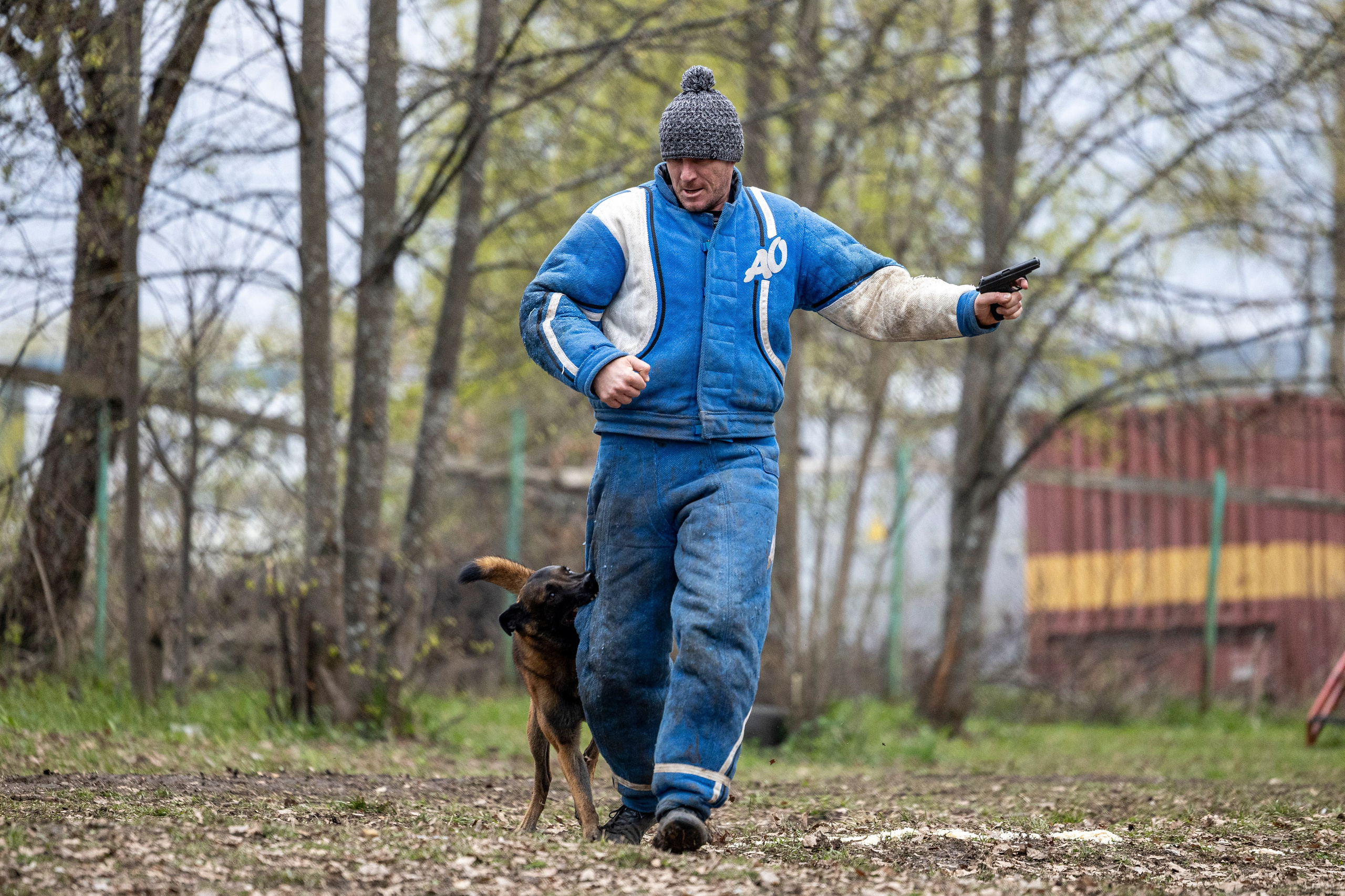 Квалификационные состязания по мондьорингу г. Вологда 11.05.24. Фотограф-анималист Анна Маринич