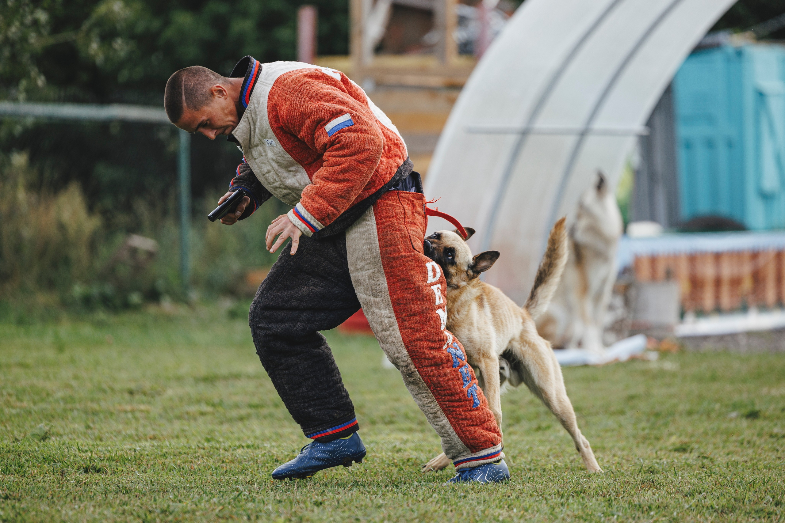 08.08.25-10.08.25 ЧР по мондьорингу г. Вологда. Фотограф-анималист Анна Маринич