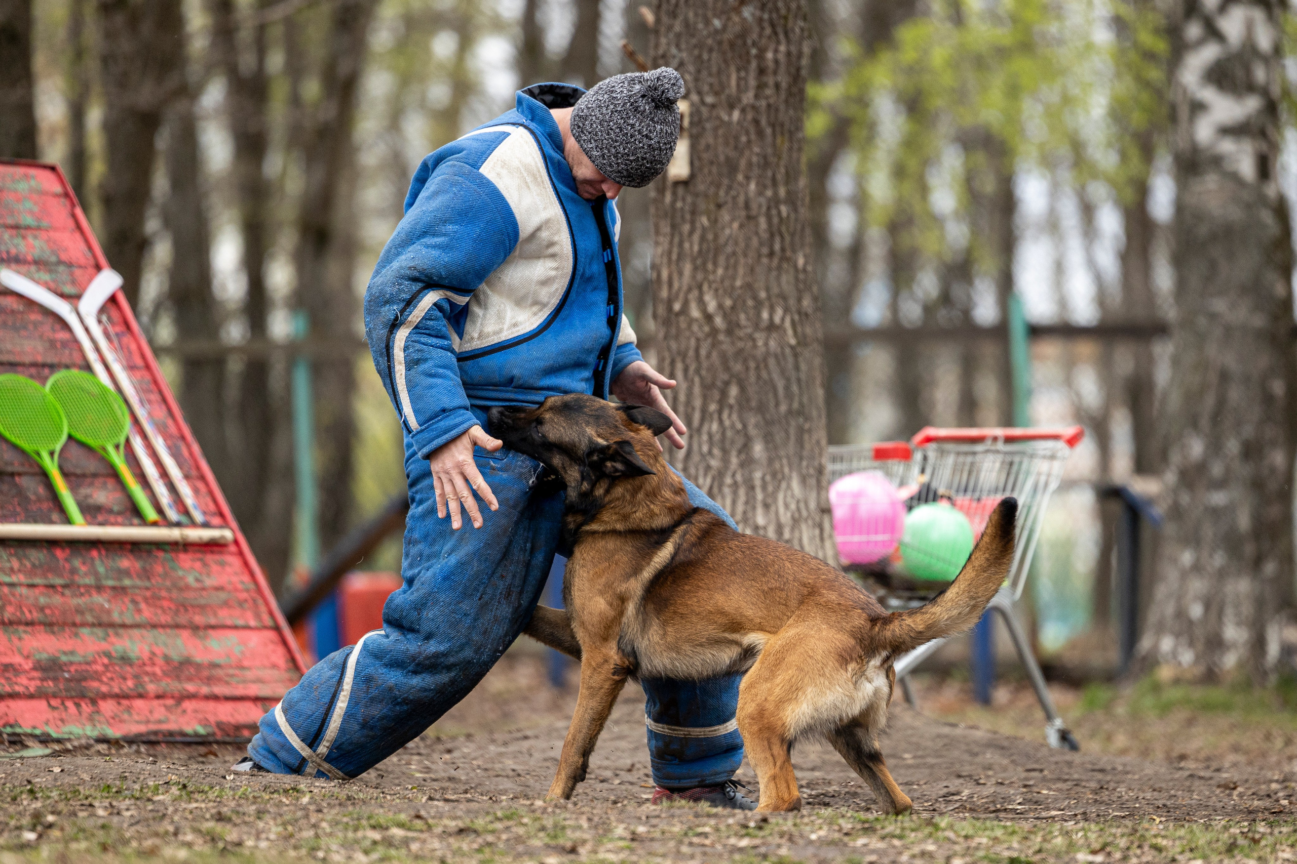 Квалификационные состязания по мондьорингу г. Вологда 11.05.24. Фотограф-анималист Анна Маринич