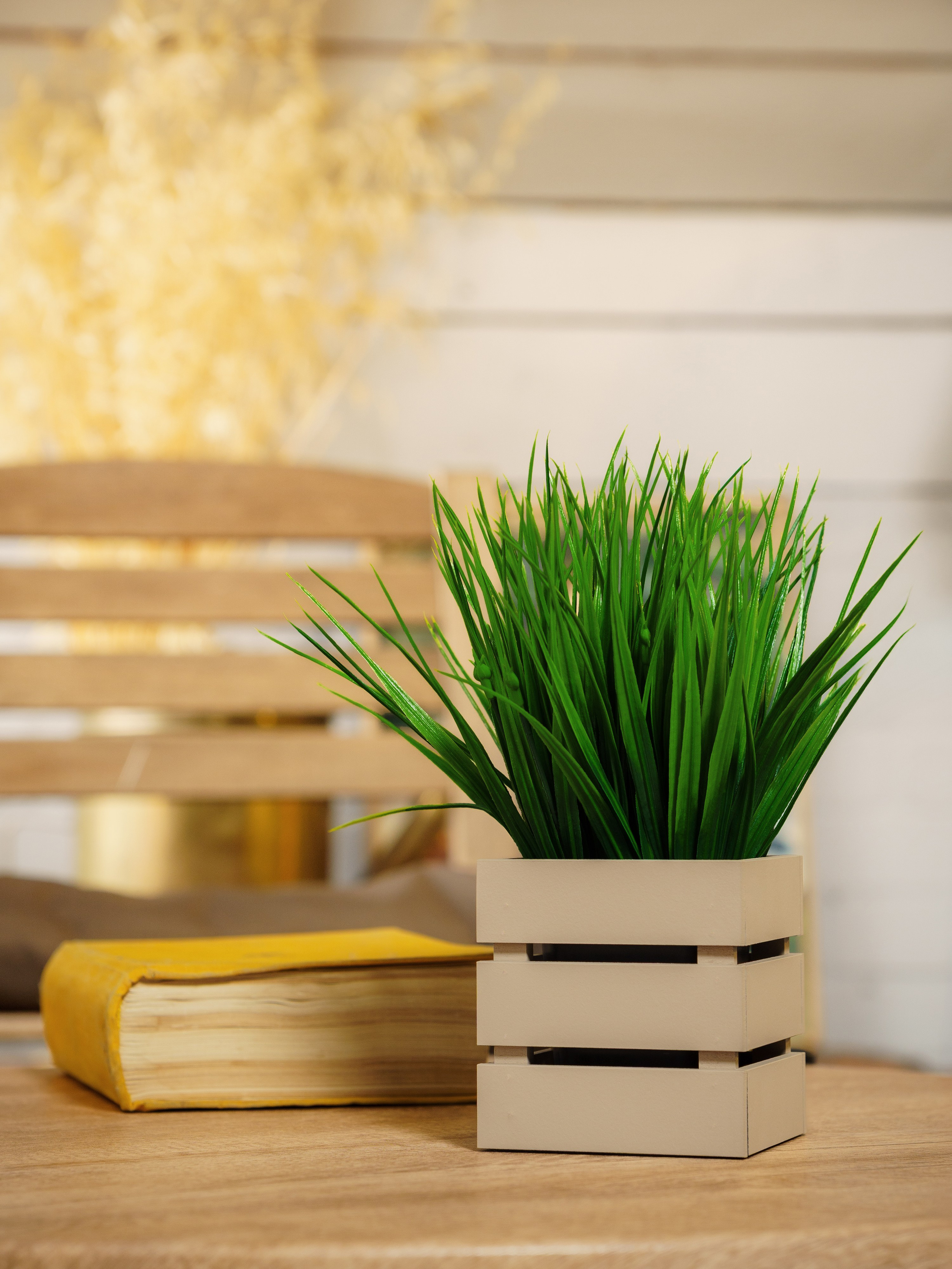 Кашпо. Макаров Сергей|Creamlebot Фотограф города Ростов-на-Дону