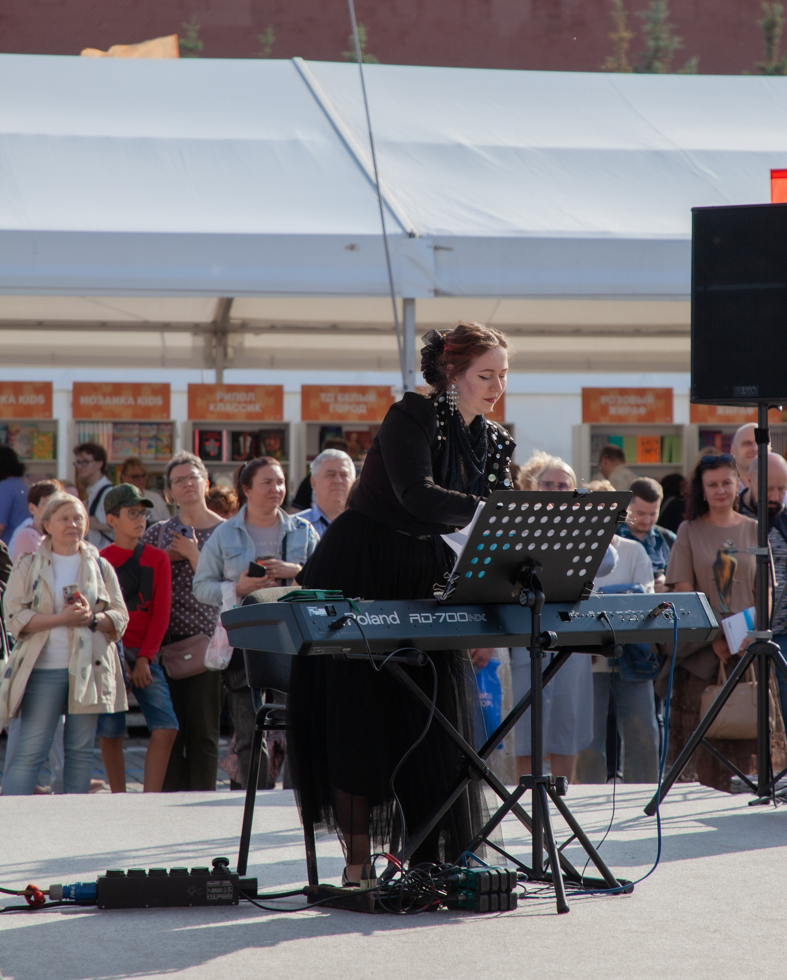 — Книжный фестиваль 2024 (концерты). Фотограф | Москва