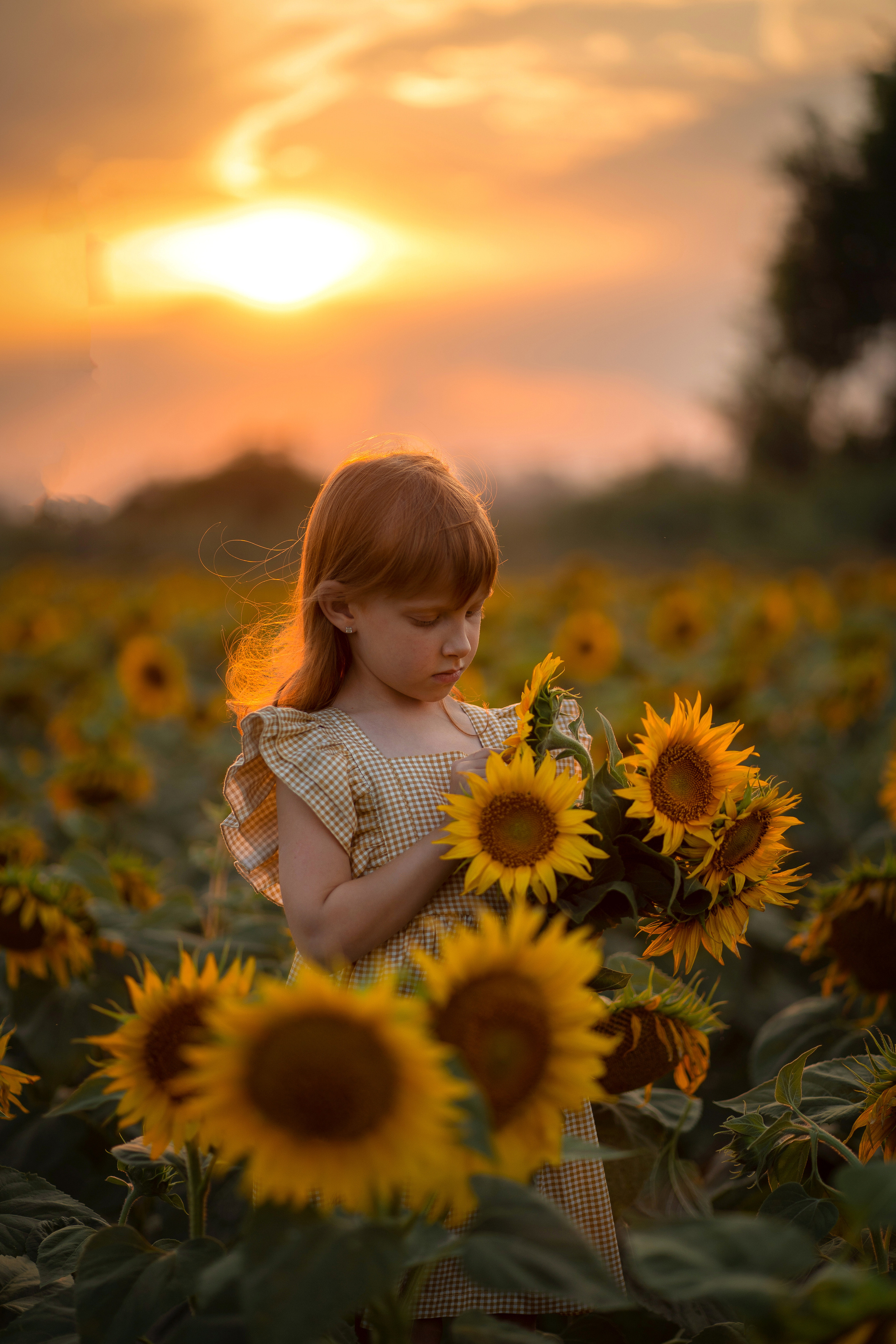Подсолнухи. Семейный и детский фотограф Мария Лютикова