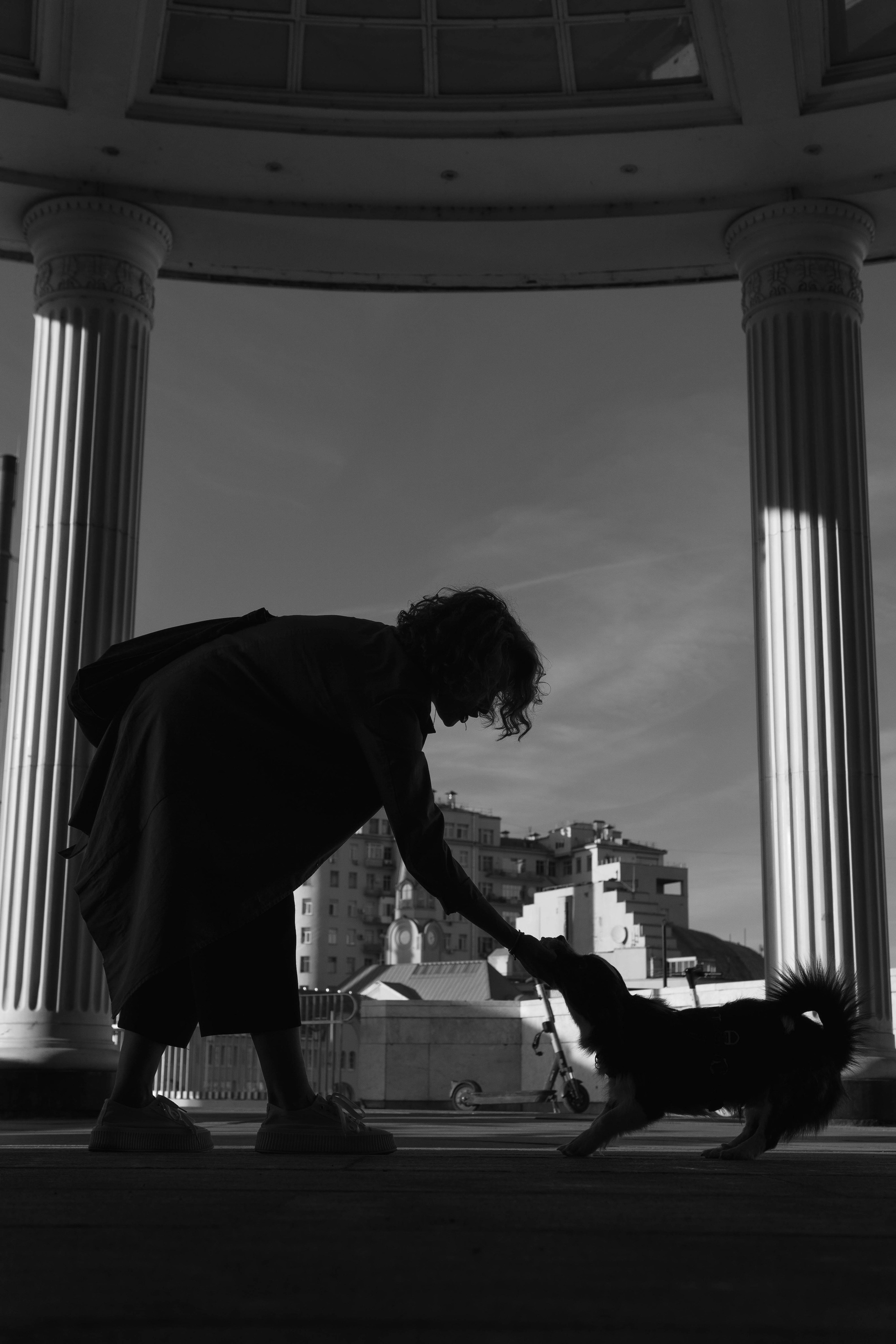 Даша и Тюбик. Фотограф-анималист Ксения Воробьева, Москва