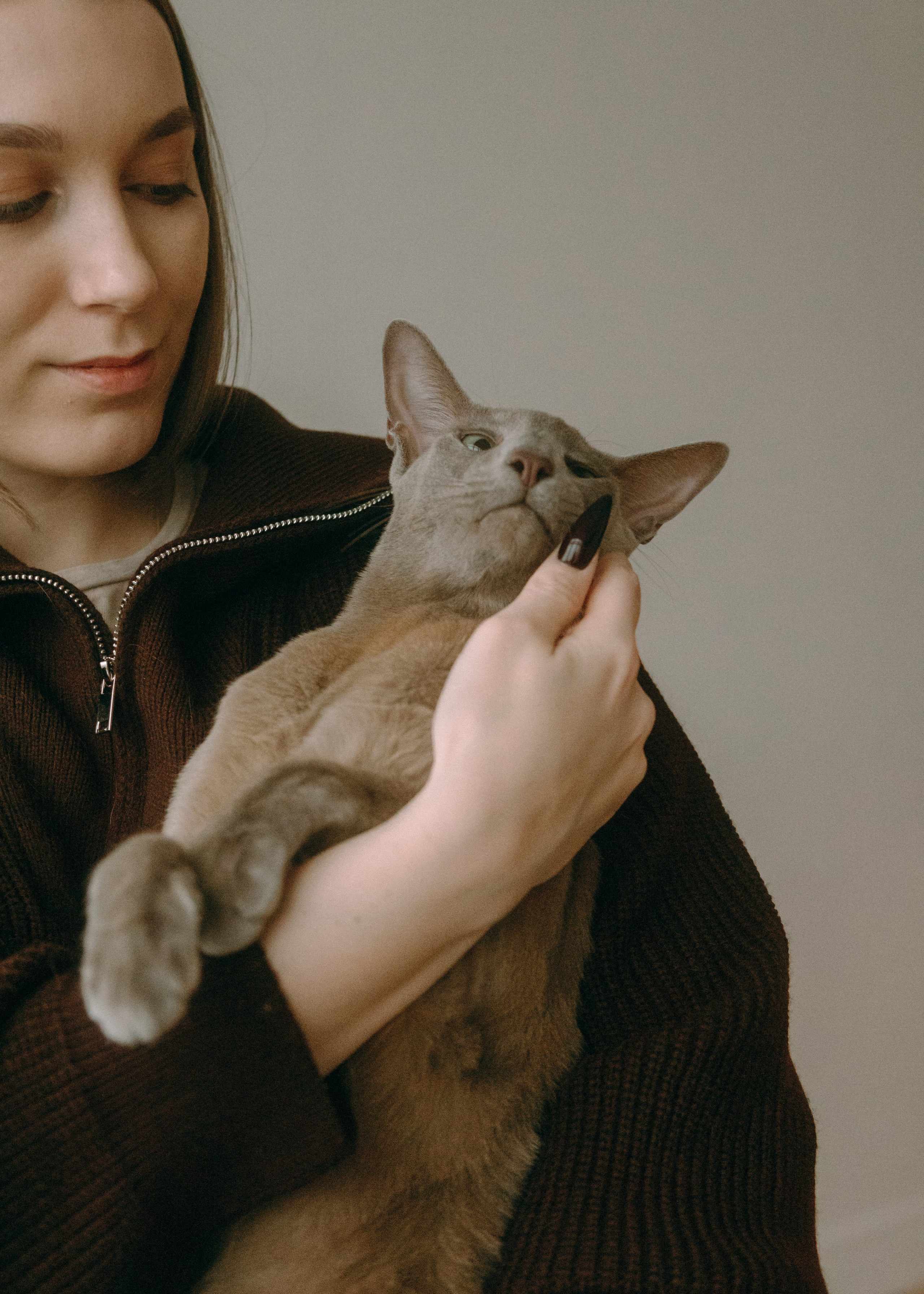 Амина, Булат и Орион. Фотограф-анималист Ксения Воробьева, Москва