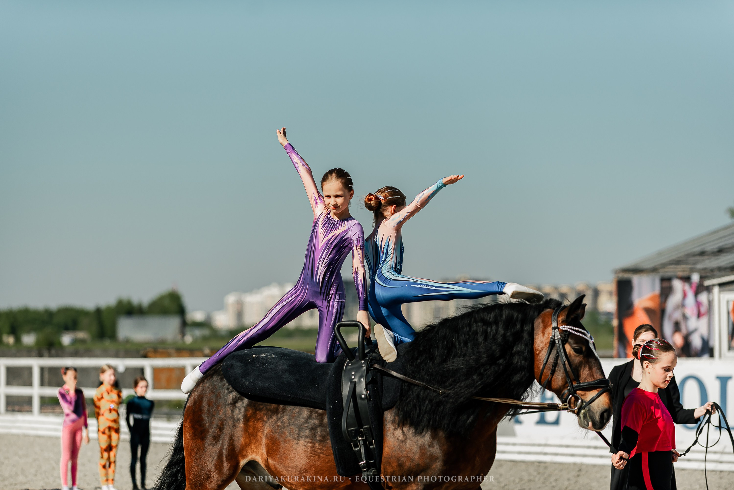 РЕПОРТАЖ МКК ВОЛЬТ «LA TULIPS». Конный фотограф Куракина Дарья • Фотосессии с лошадьми