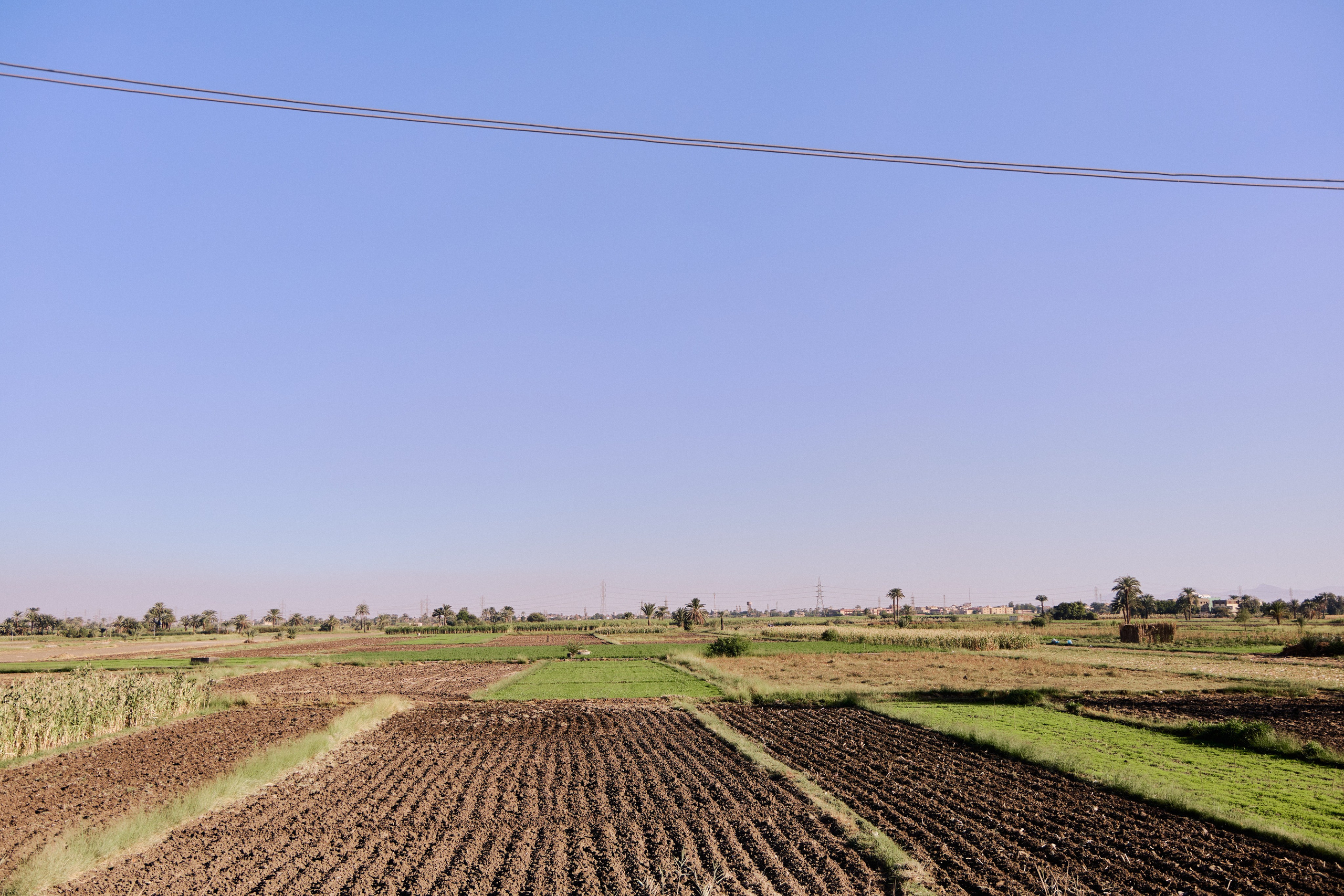 Другое 4. Jorgis — фотограф в Хургаде / обучение фотографии