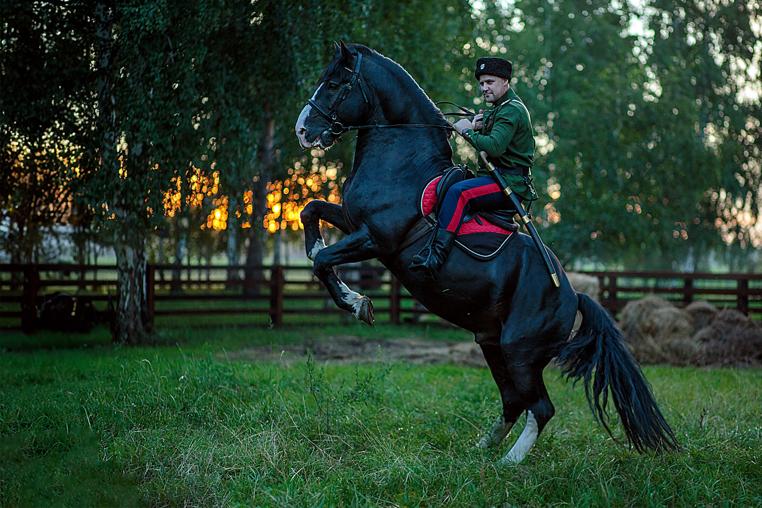 Ранчо Шарье. Конный фотограф в Красноярске — Любовь Похабова