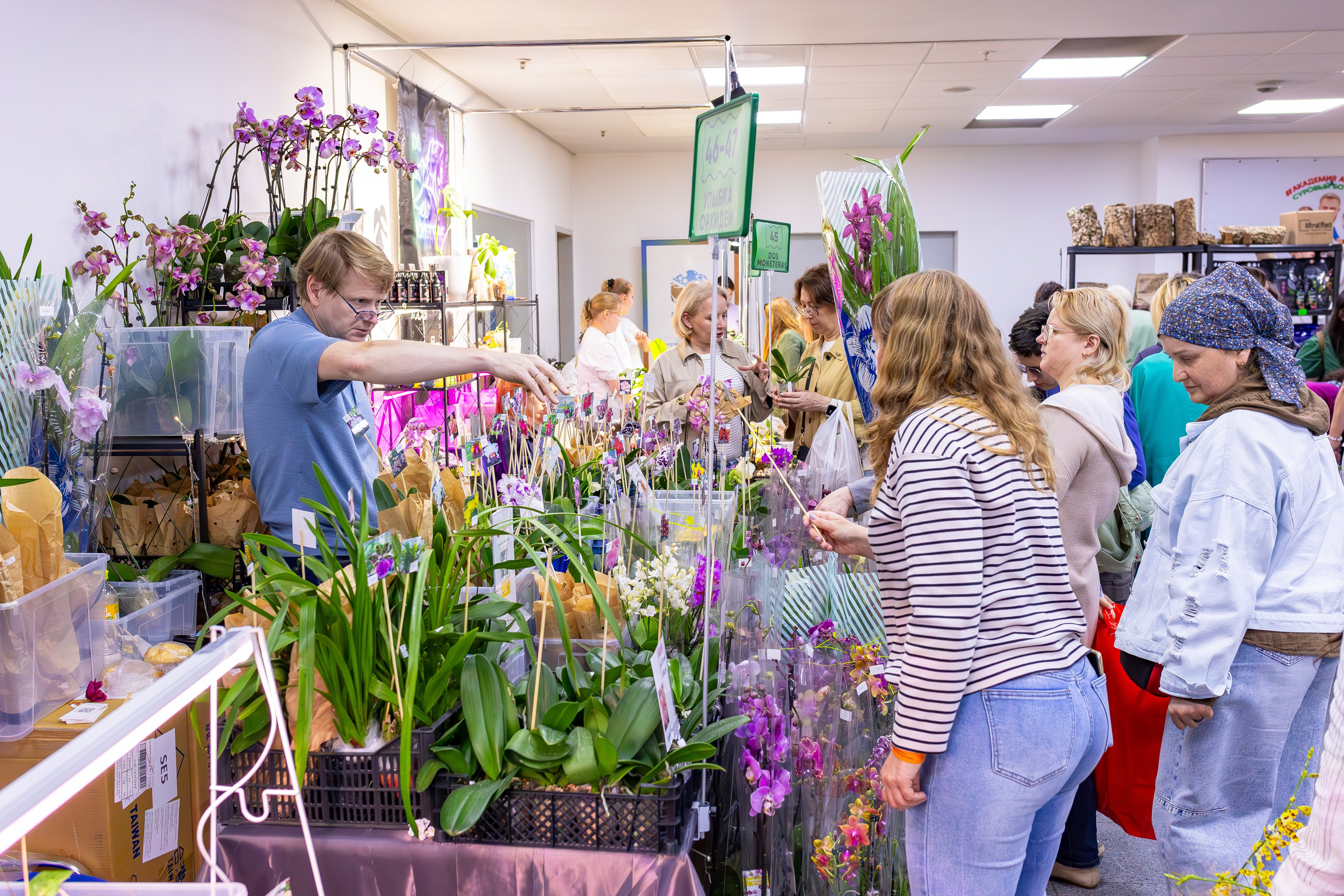 Орхидиум сентябрь 2025. Александра Куликова фотограф, Москва