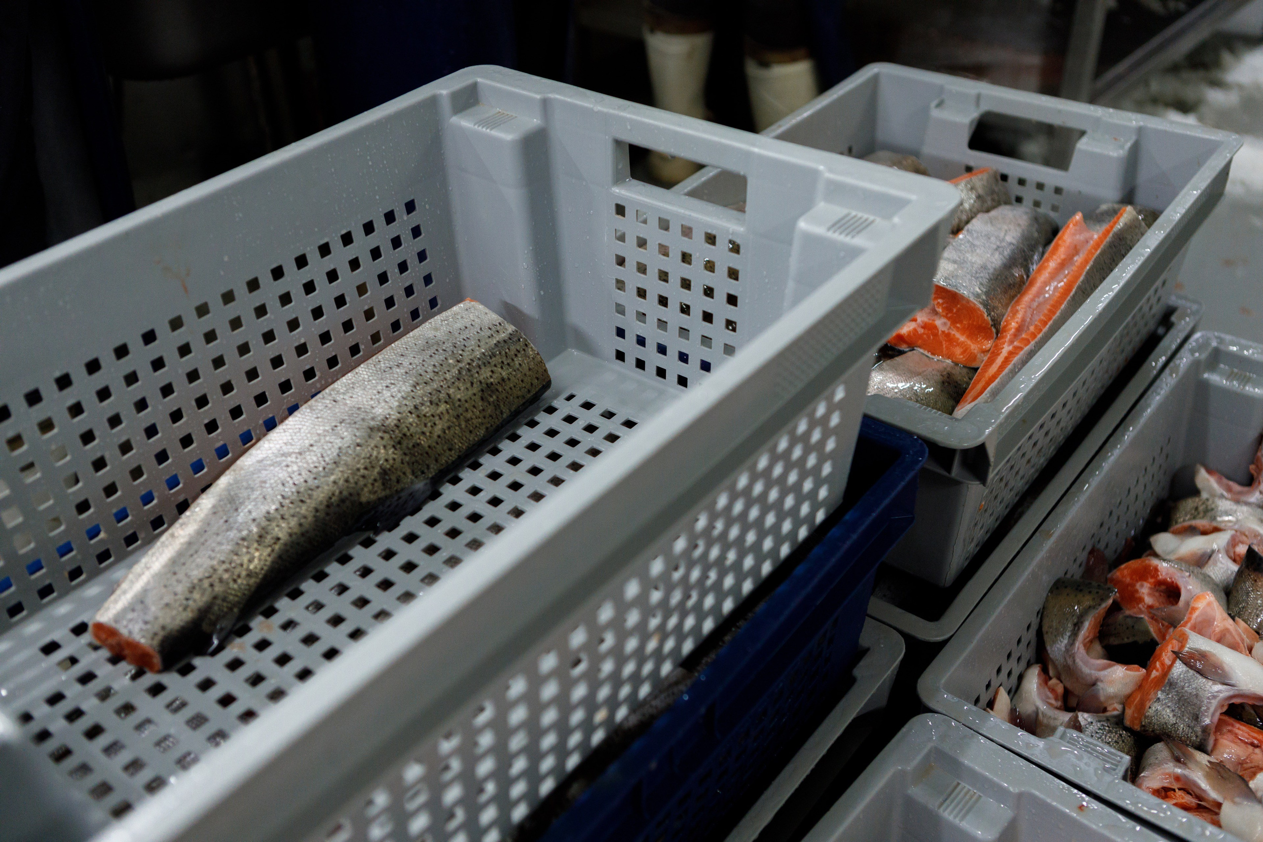 Kala-Ranta Trout Farm. Commercial photographer | Anton Ermakov