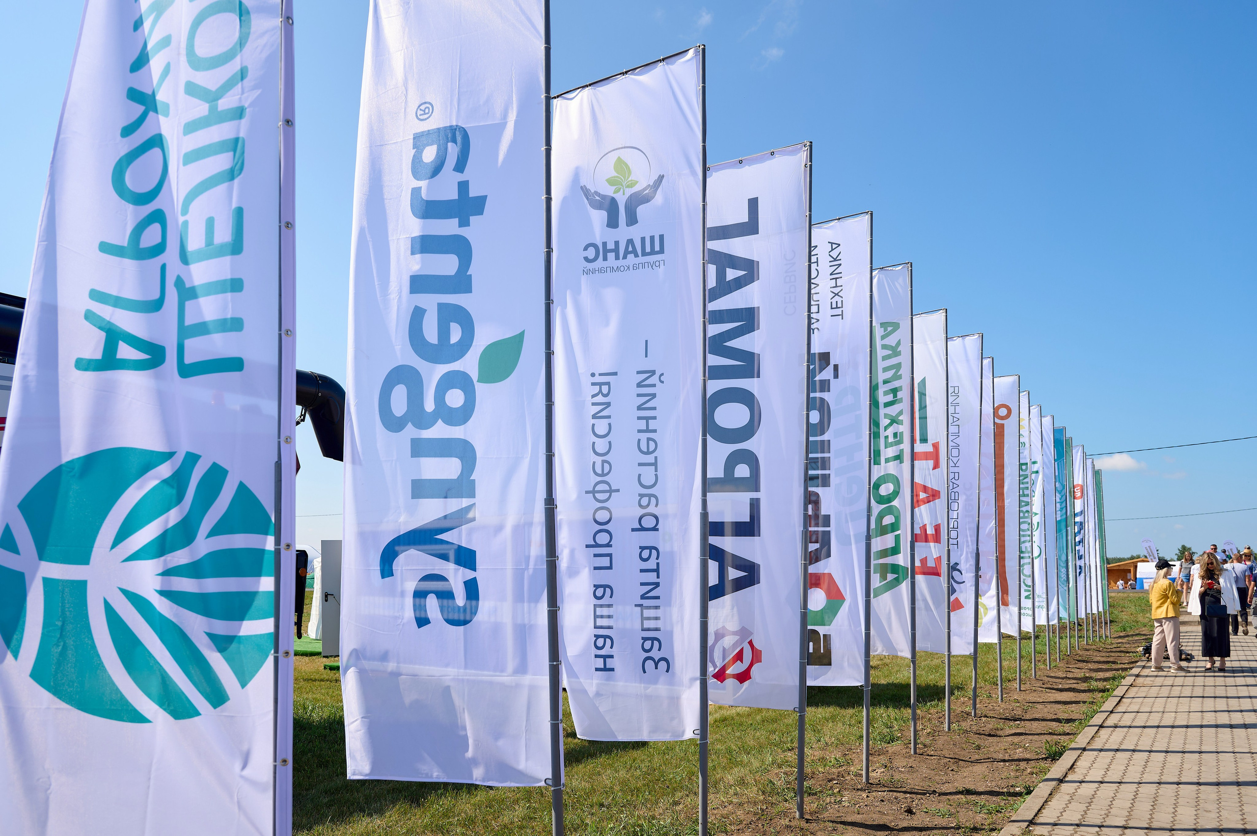 День поля. Фотограф Опыт Качество Скорость Горный Алтай Барнаул