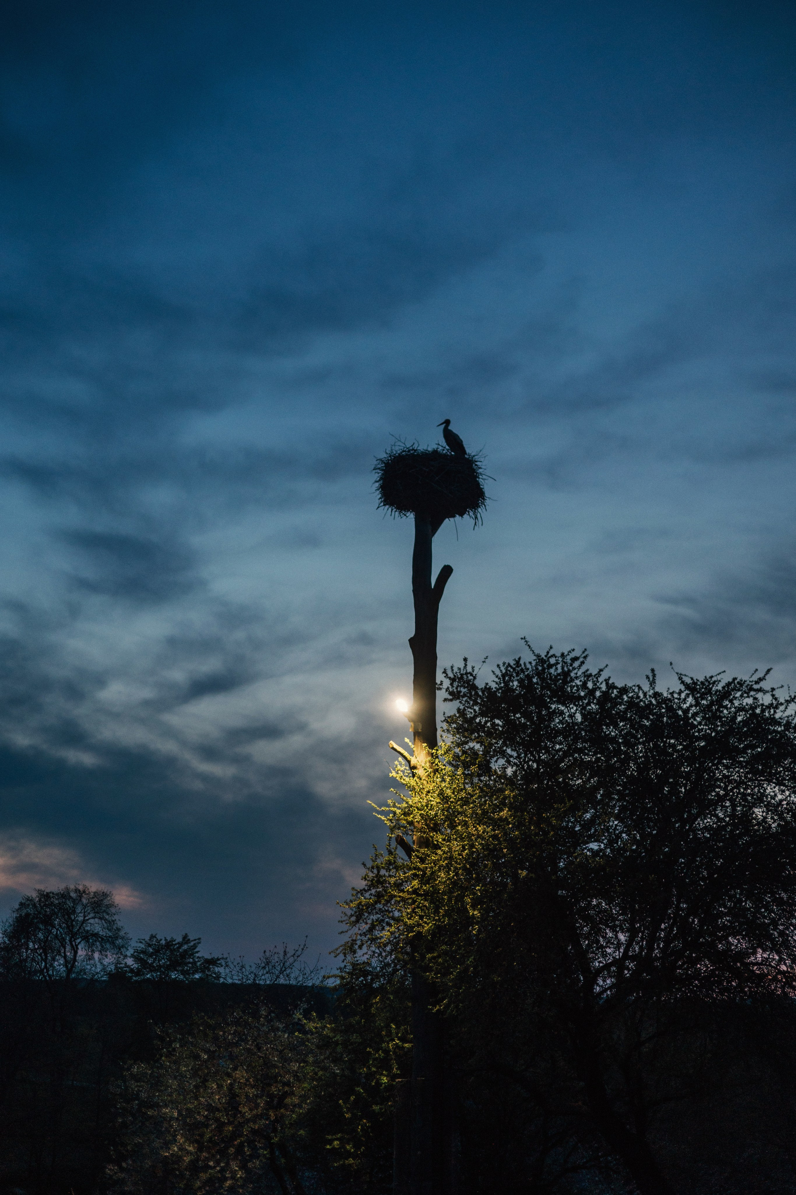Свадьба Вера и Сергей. Главная
