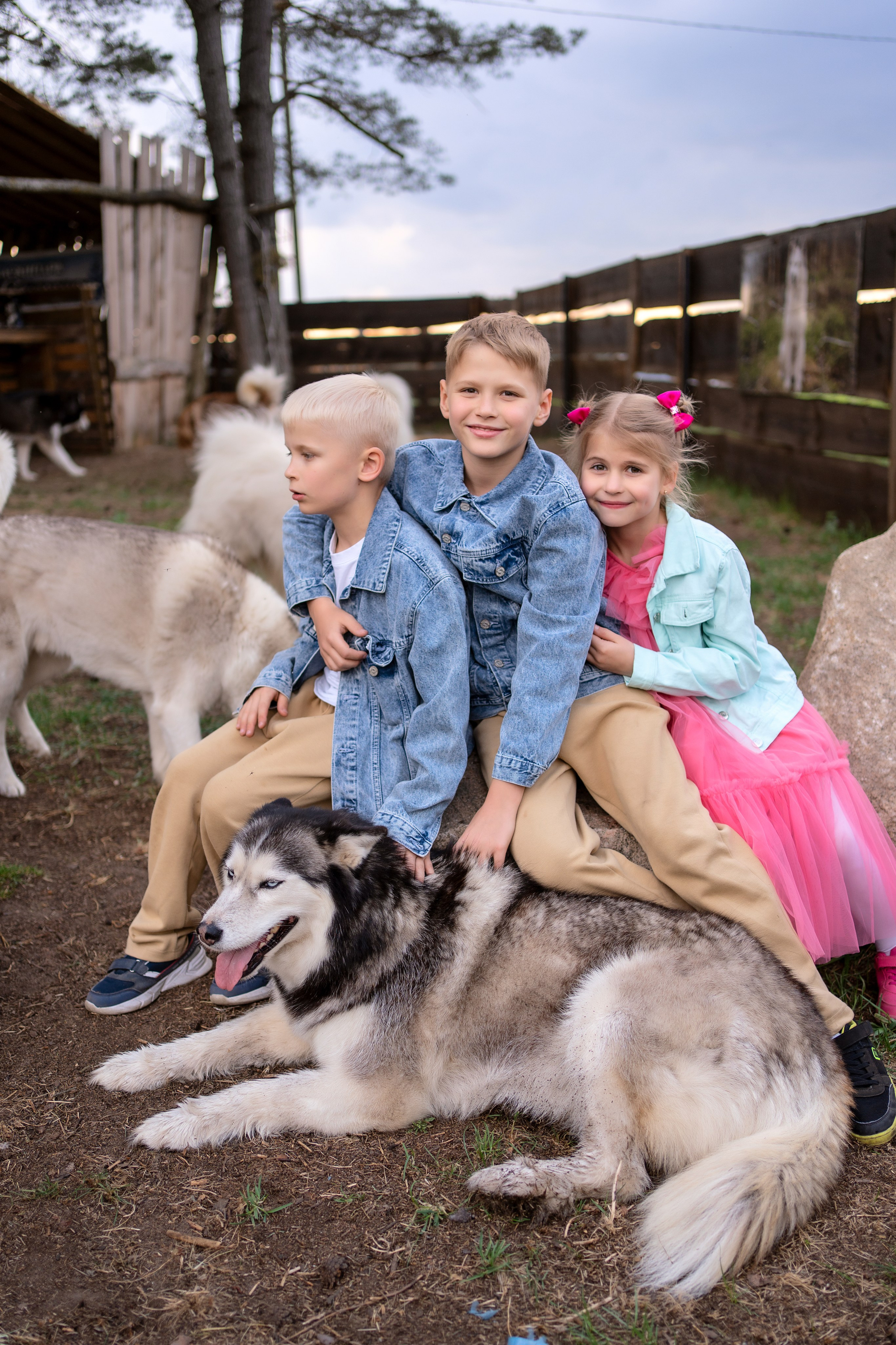 Хаски парк. Семейный и свадебный фотограф Минск, Беларусь Анна Орловская
