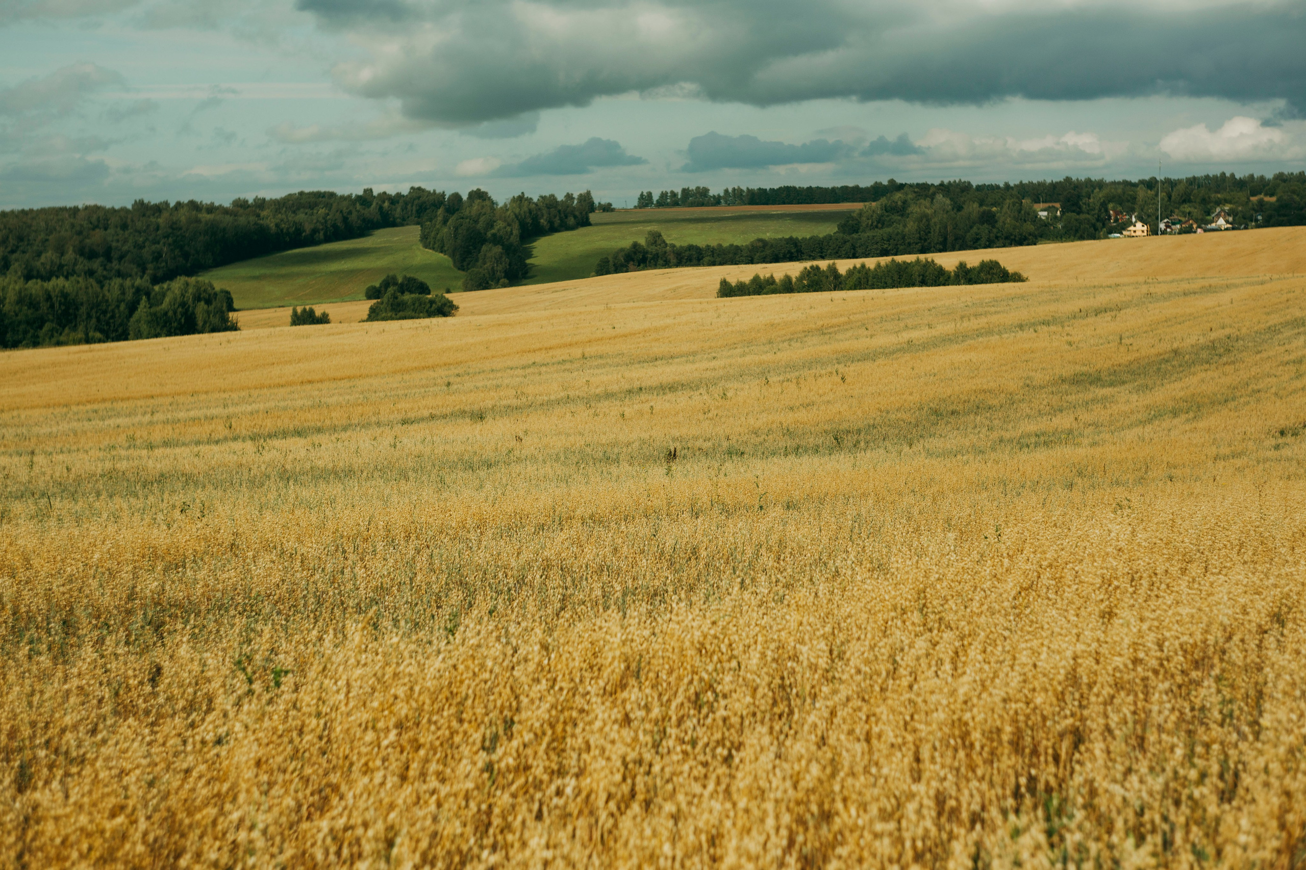 Поход. Ваш портретный фотограф в Москве Катя Прокофьева