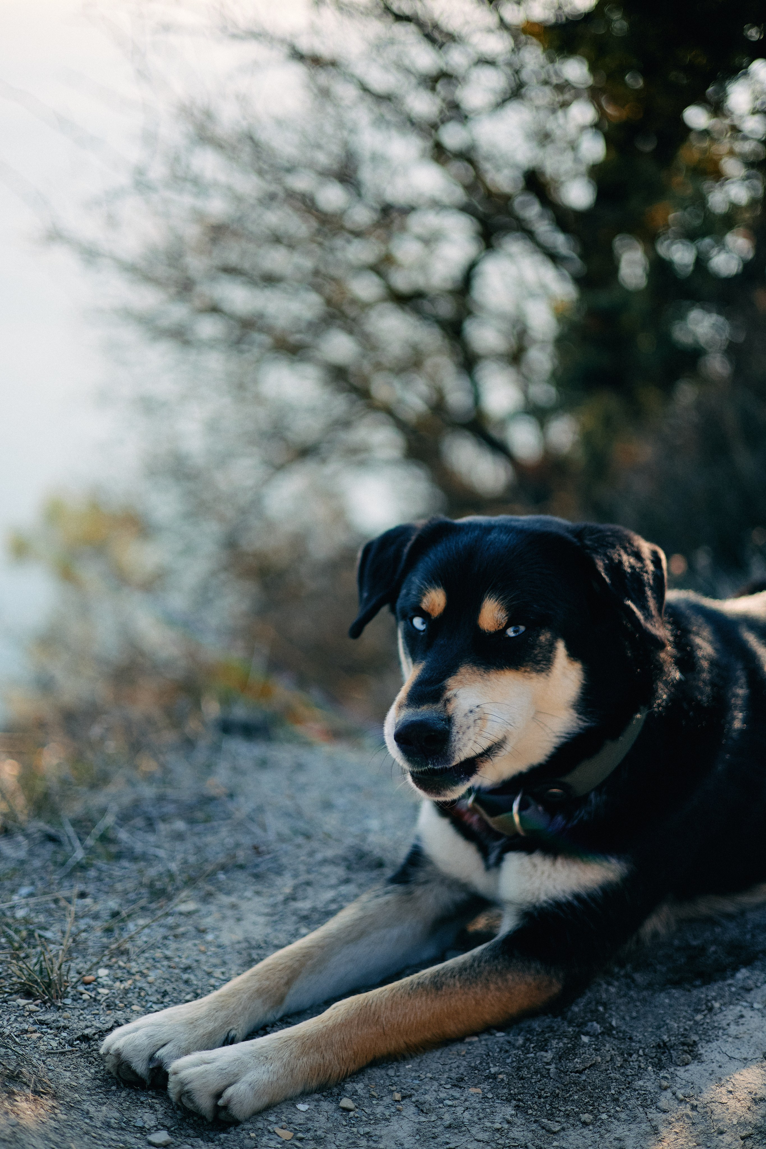 Юг России. Профессиональный Фотограф во Владимире, в Москве и в Суздале — Полина Романычева
