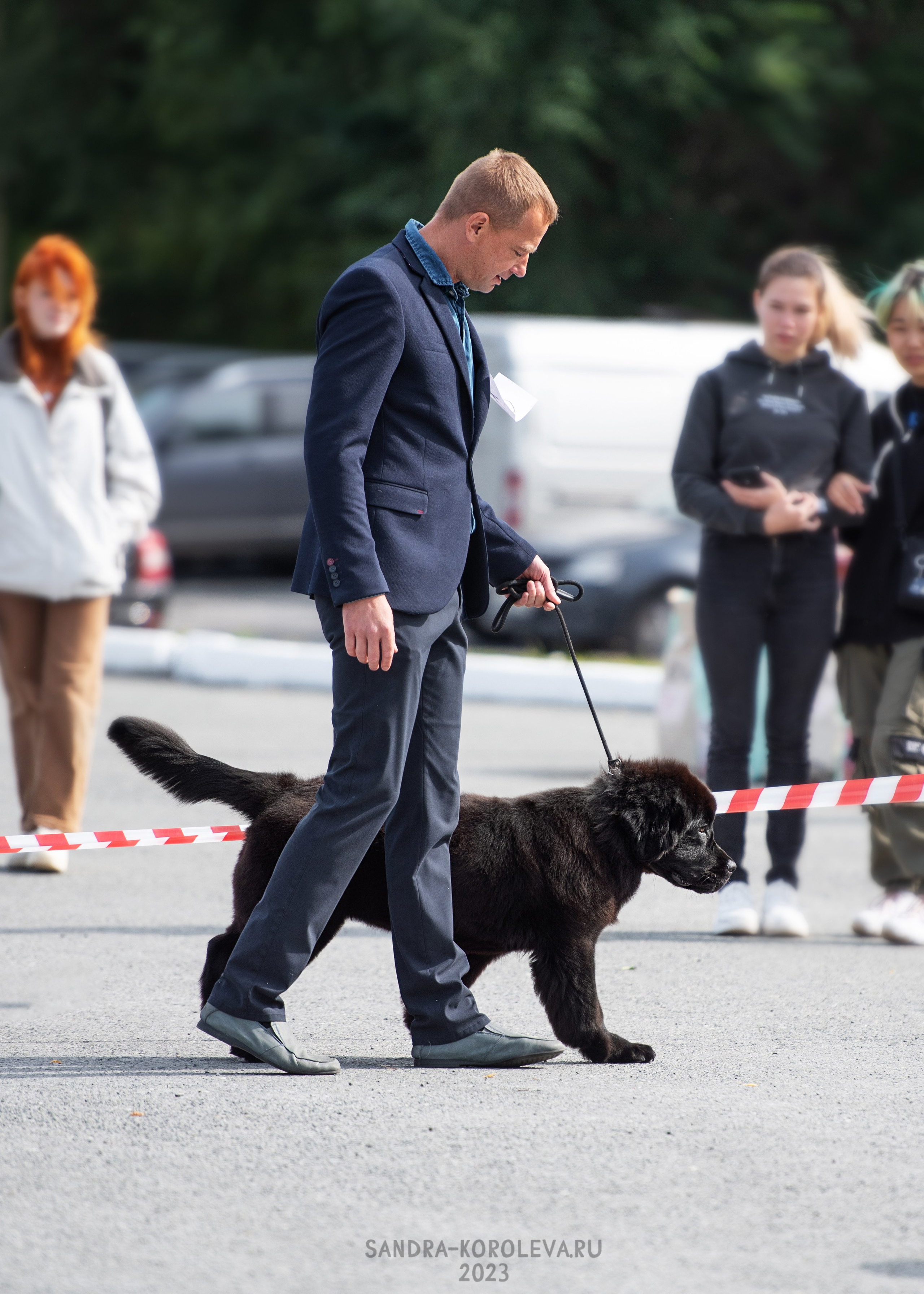 Выставка собак Тюмень 02.09.2023. Дог-фотограф в Тюмени Александра Королева