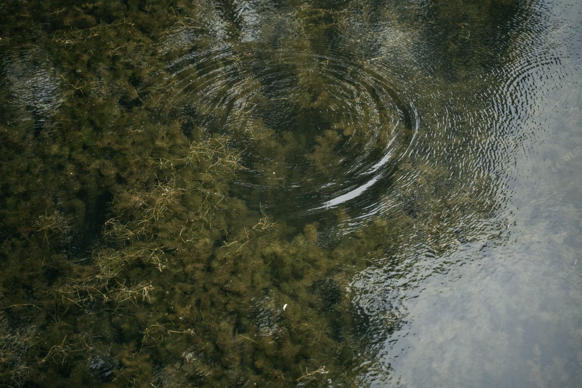 Свадебная фотосессия в парке Харитоновых, свадебная фотосессия в парке, на природе. Красивая пара, помогу запечатлеть ваше свадебное событие. Фотограф Татьяна Мамонтова