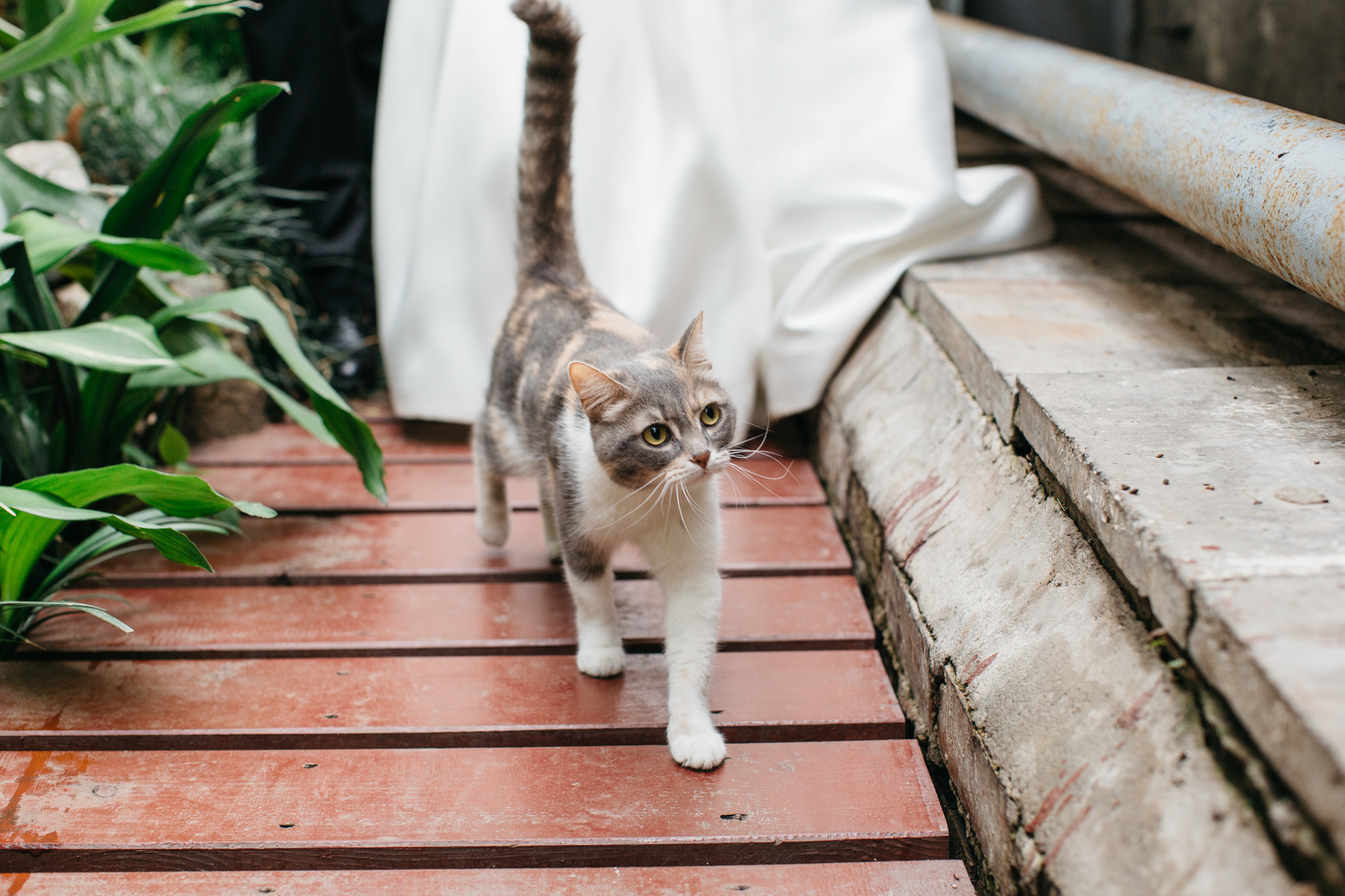 Артем и Анастасия. Фотограф Татьяна Мамонтова