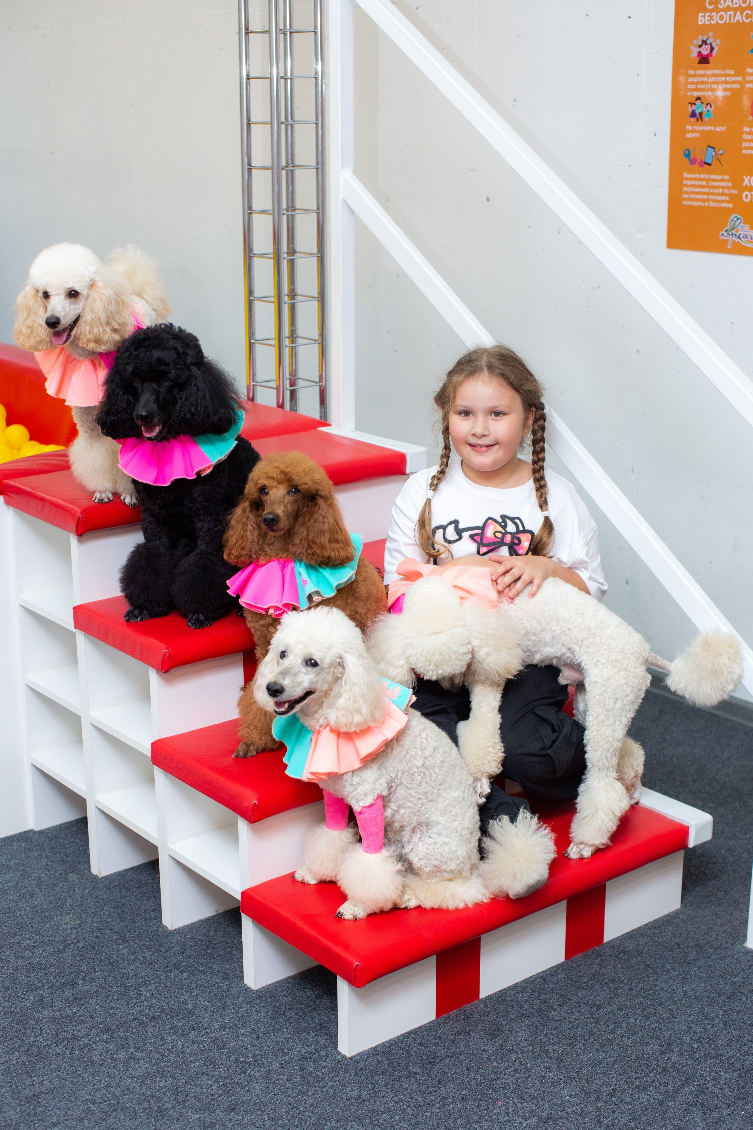 ДЕТСКИЕ ПРАЗДНИКИ, АСЯНДИ. Портретный, свадебный, репортажный фотограф во Владивостоке Юлиана Джули Фокс