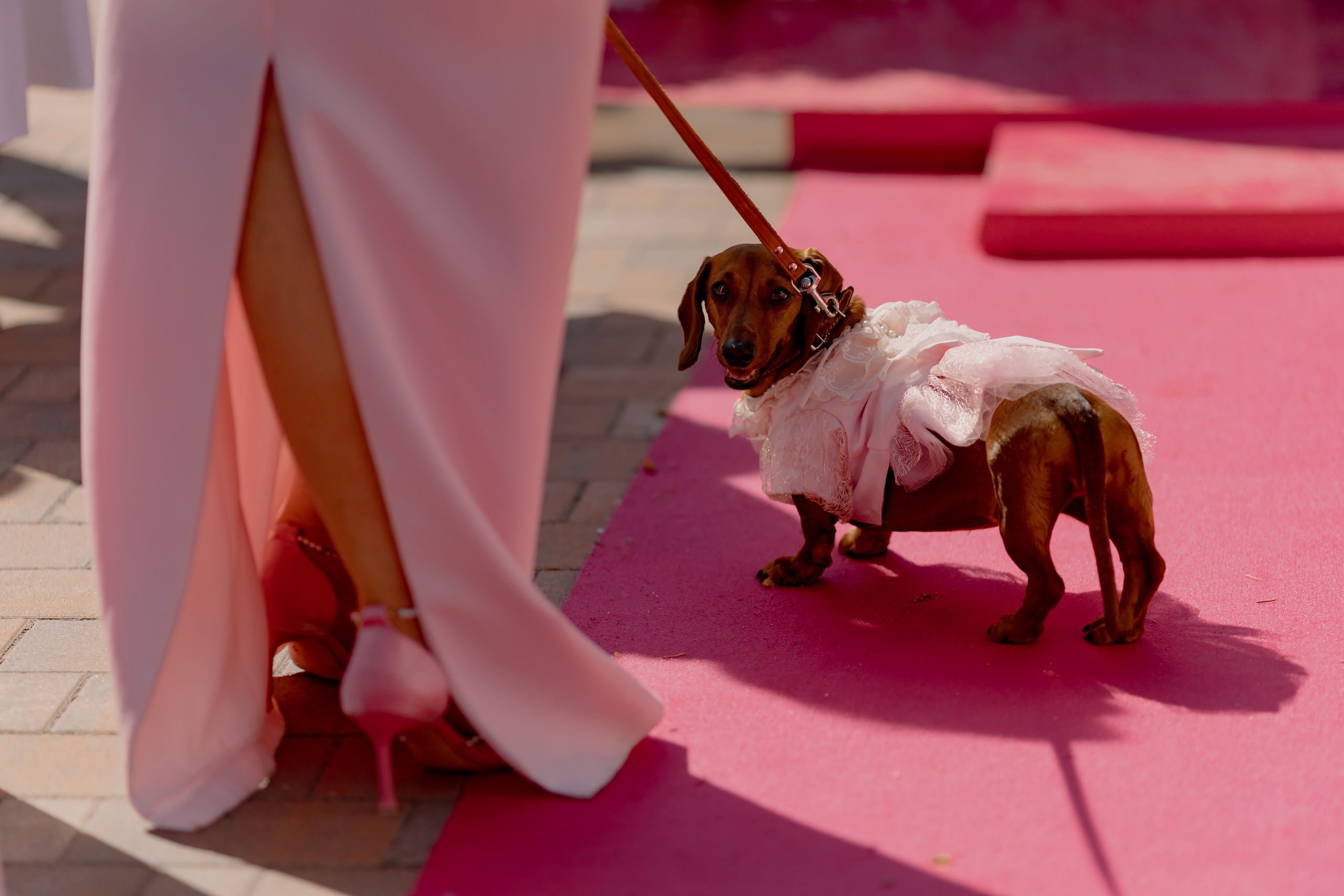 Свадьба Даниила и Анастасии. Дмитрий Позняк — свадебный фотограф в Брянске. Личный сайт фотографа