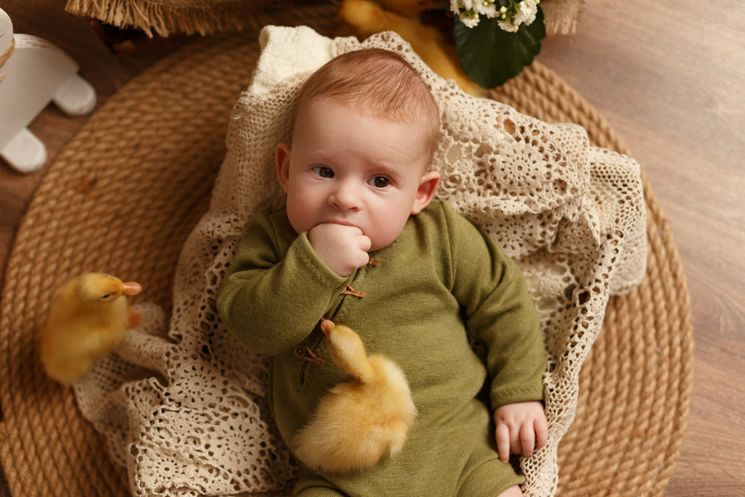 Фотопроекты. Фотограф новорождённых семейный фотограф Томск Елена Каплина