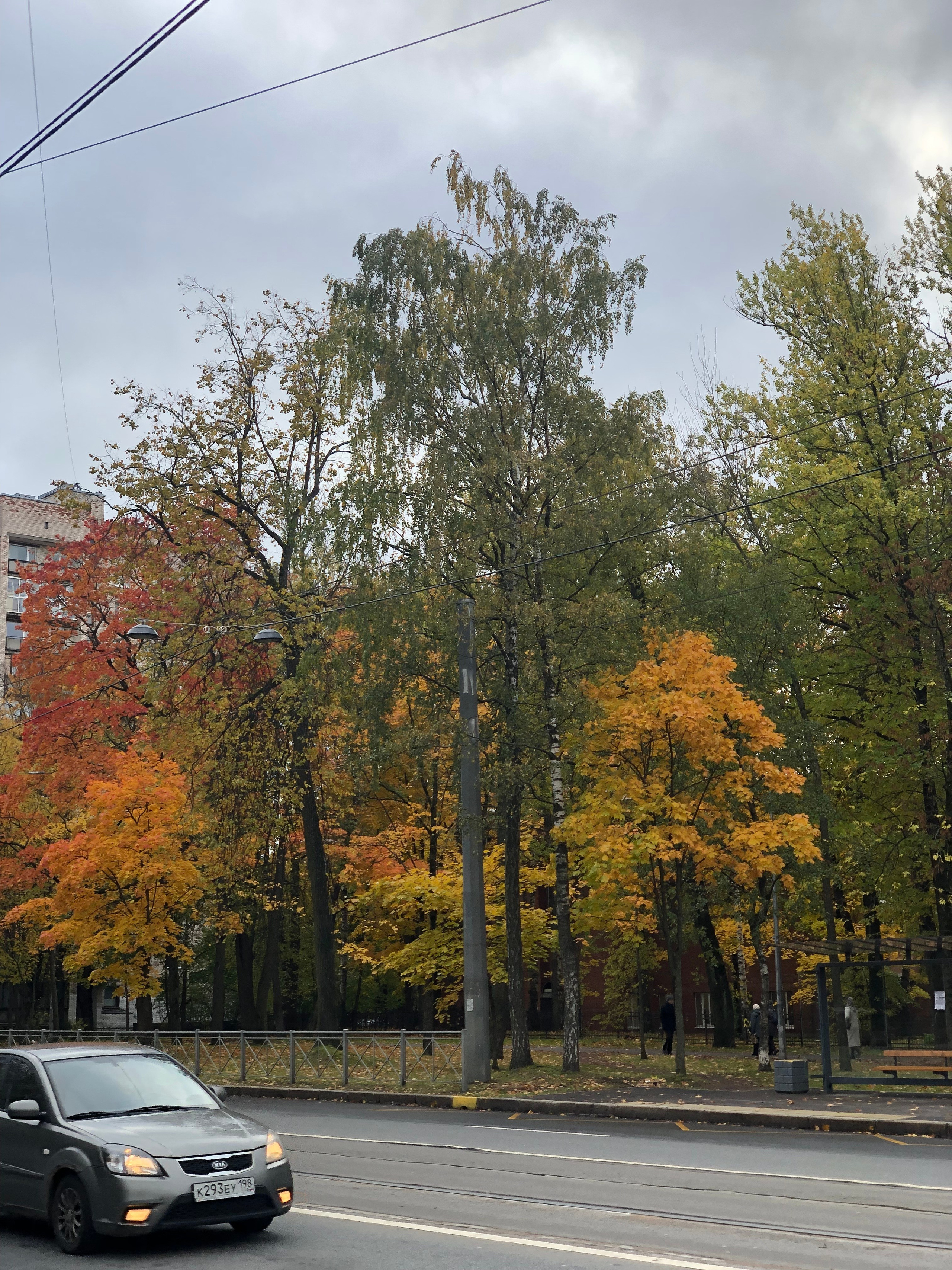Октябрь. Семейный, Свадебный фотограф СПБ Питер— Романова Екатерина