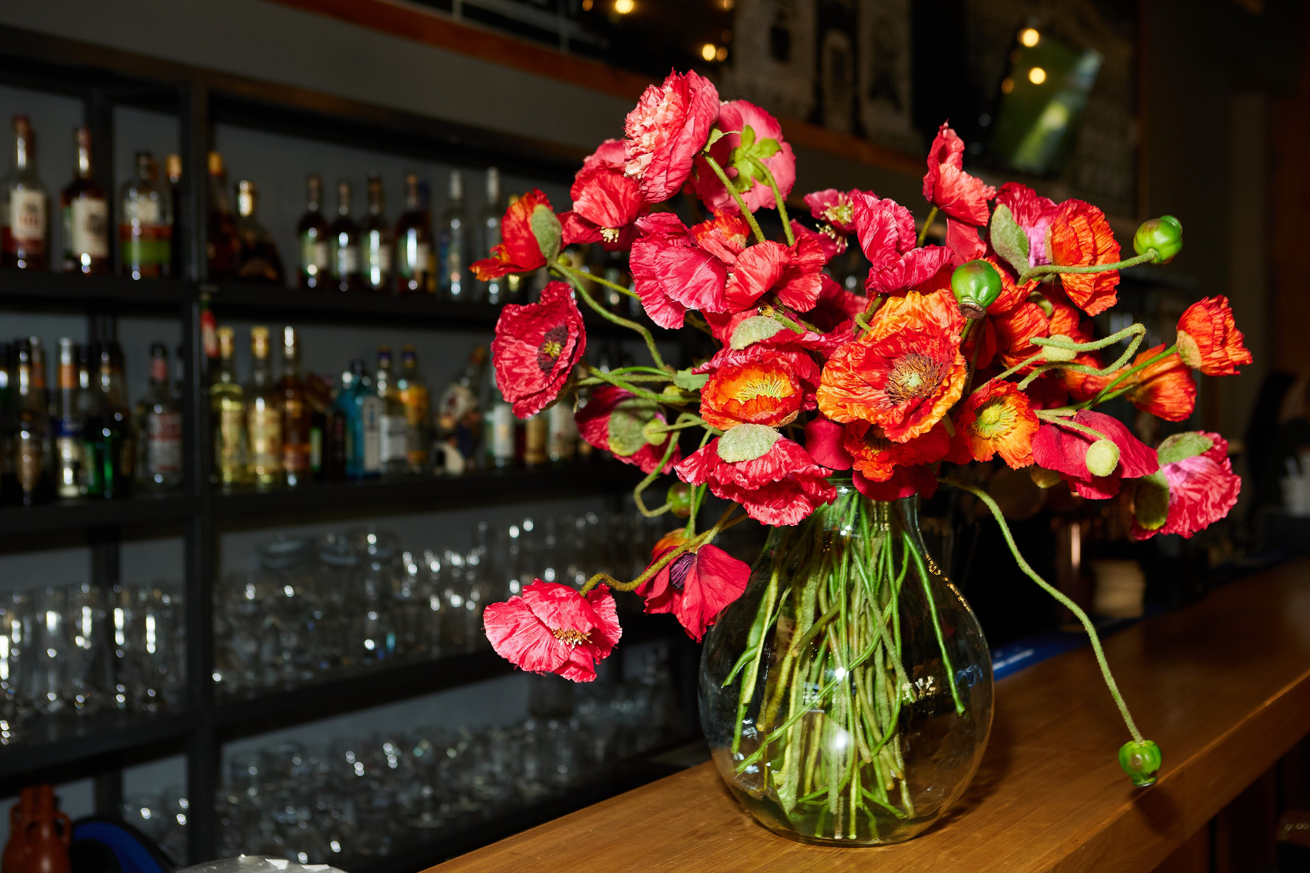 Квартирник. Светлана Родионова — фотограф спортивный и не только