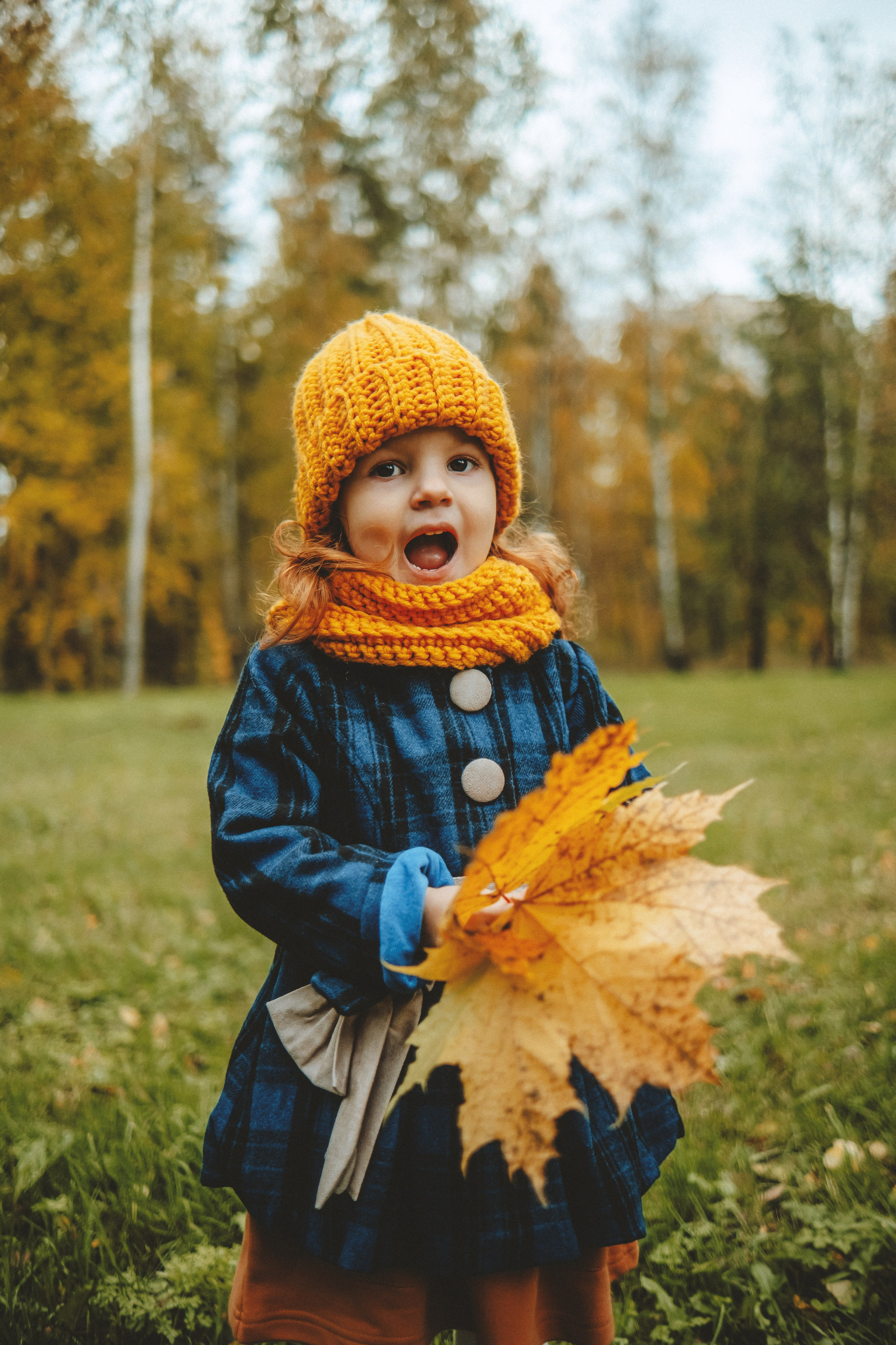 Краски осени. Nattie.ph