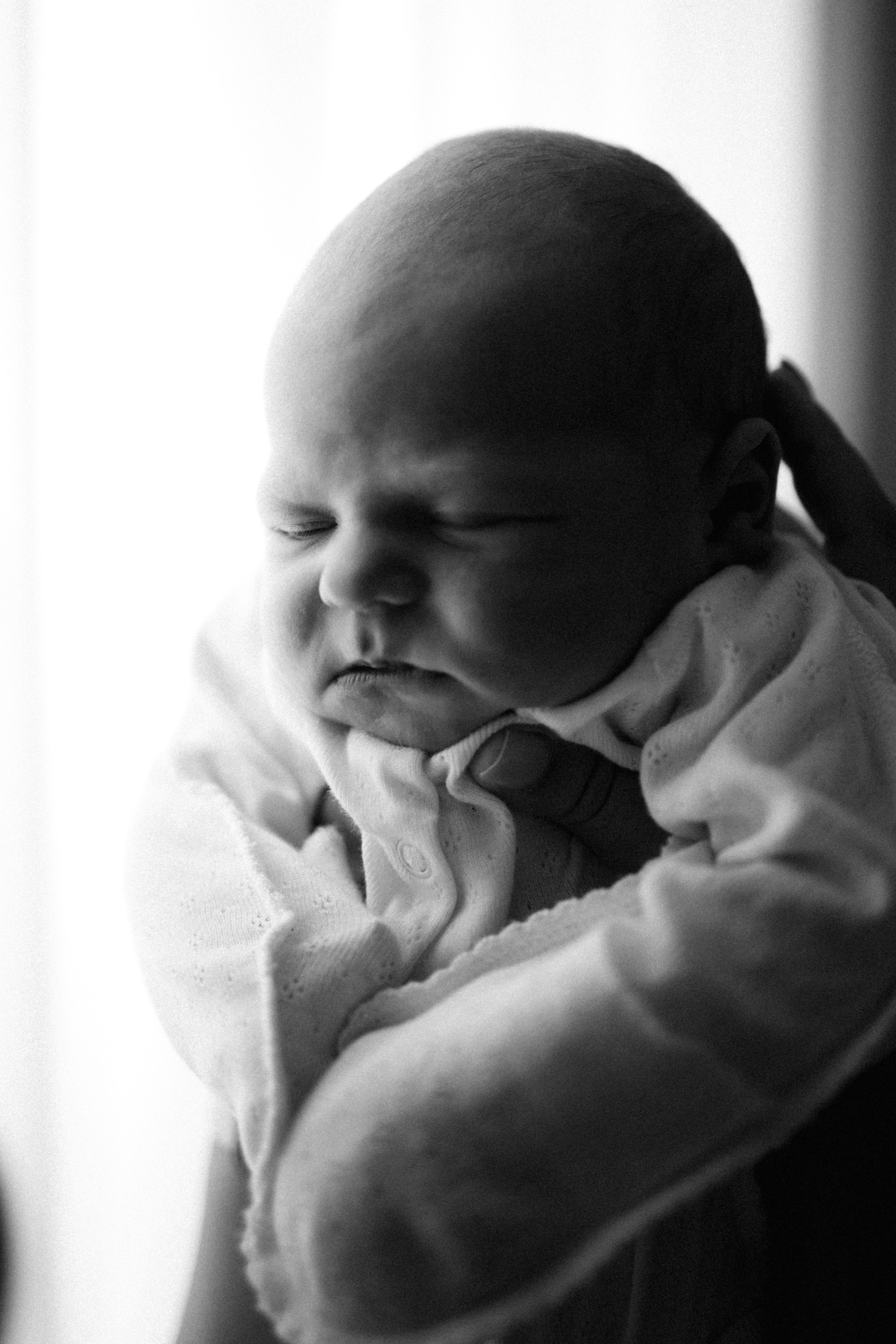 Домашние. Главная