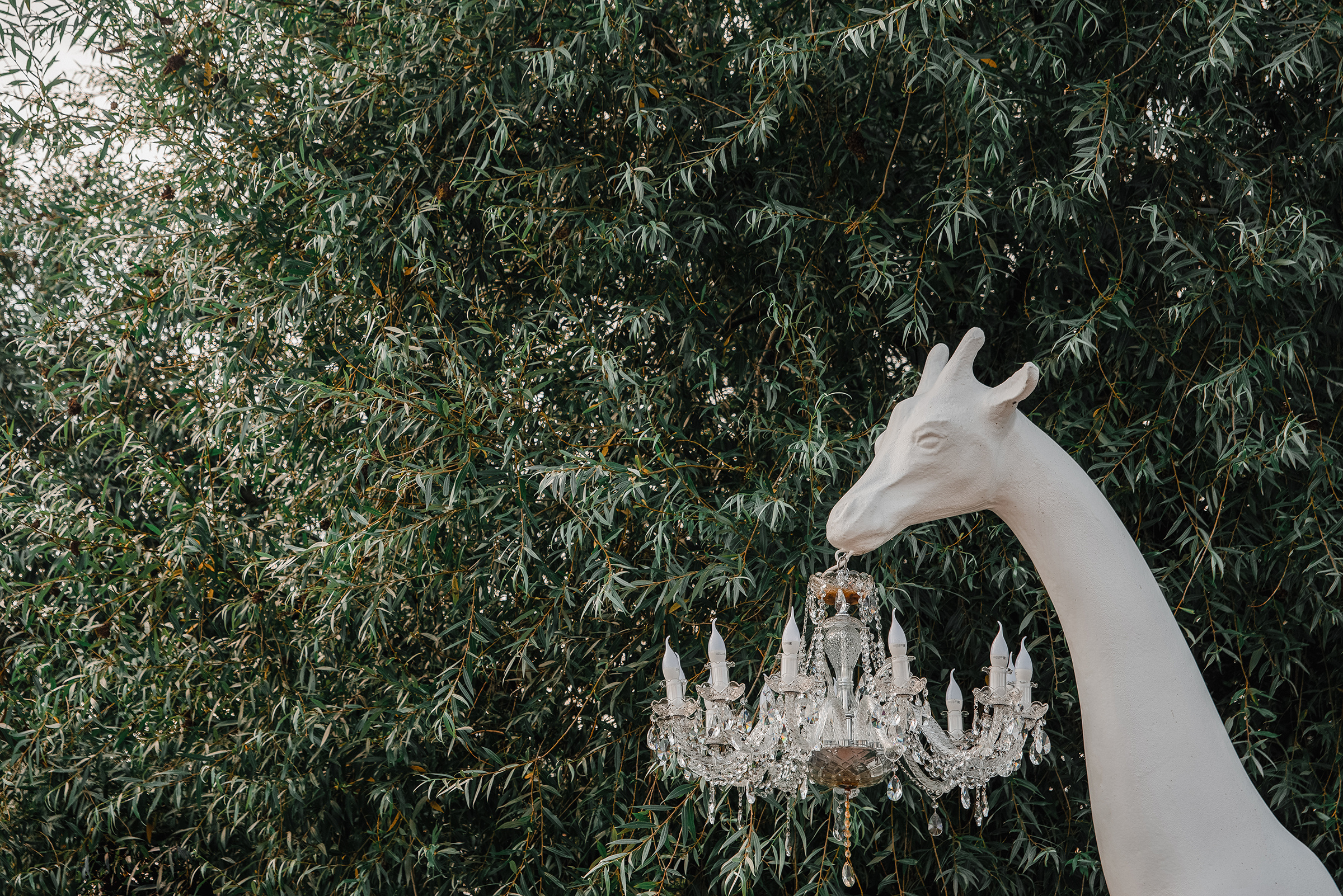 Виктория и Игорь. Фотограф и видеограф в Москве и МО — Евгений Лавров